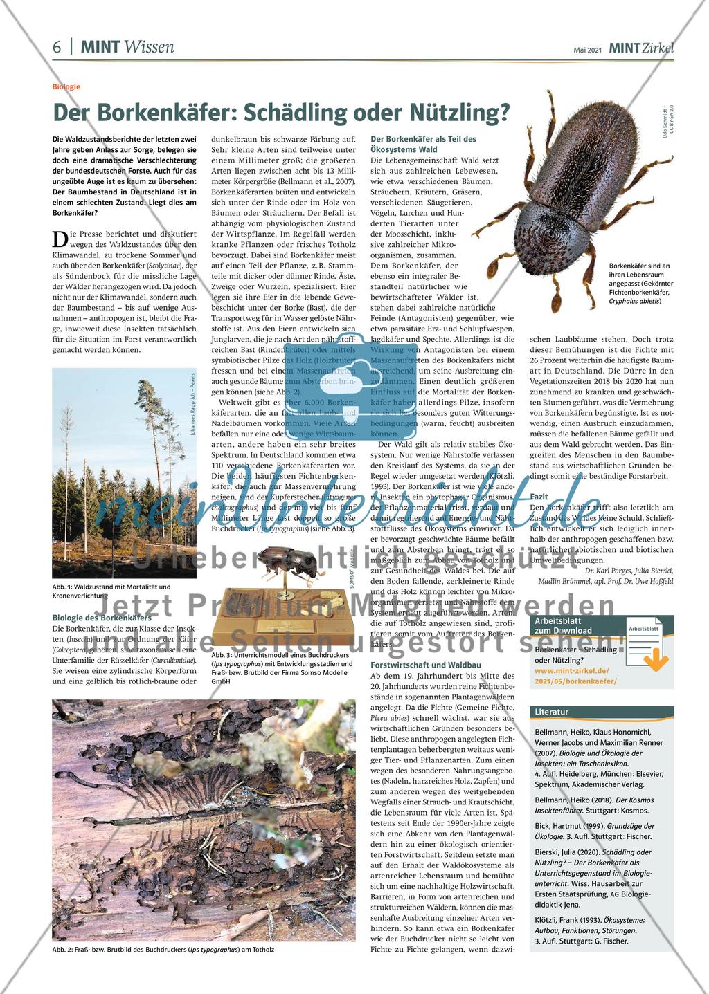 MINT Zirkel - Ausgabe 2, Mai 2021 Preview 6
