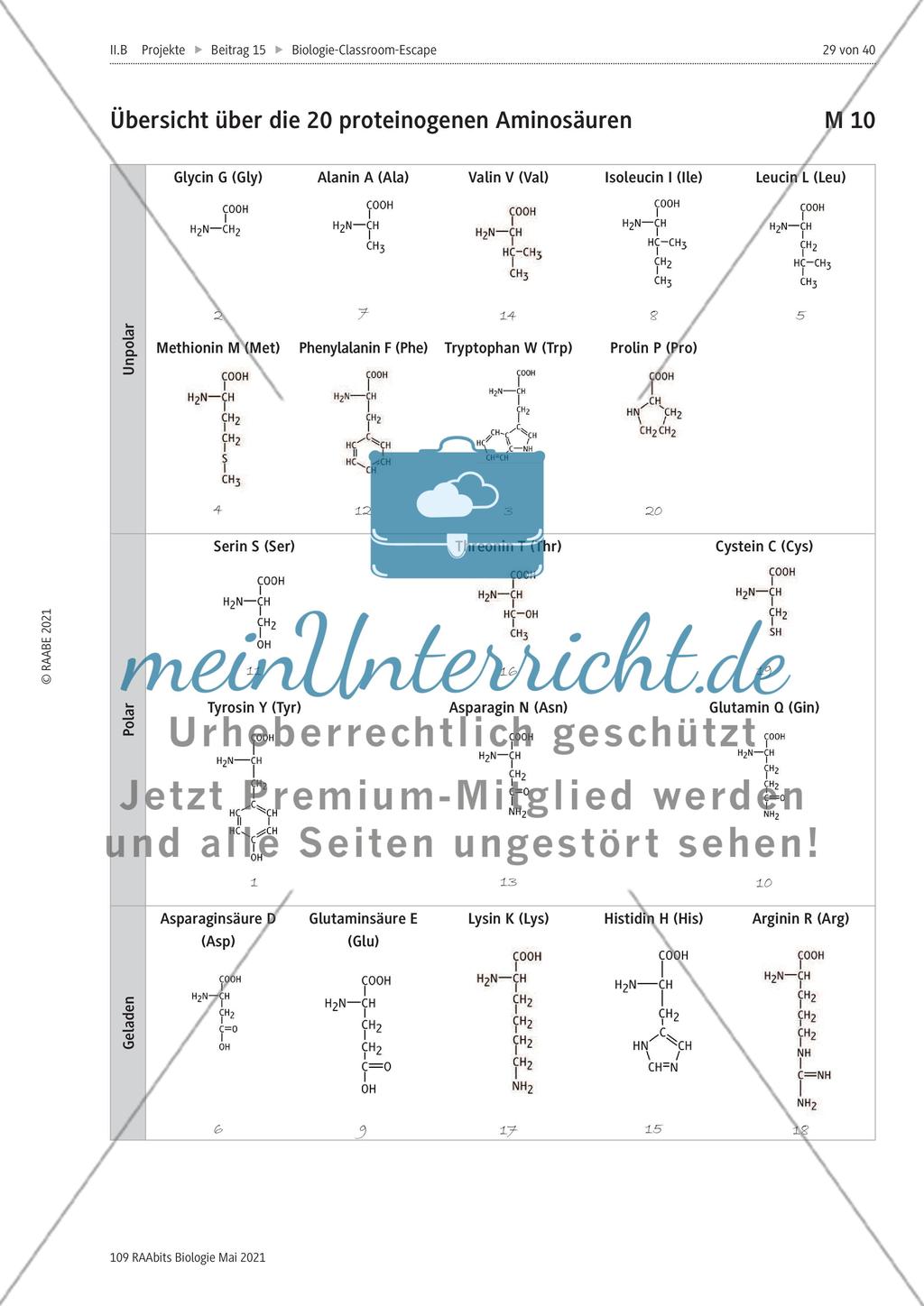 Biologie-Classroom-Escape - M10-M15 Preview 1