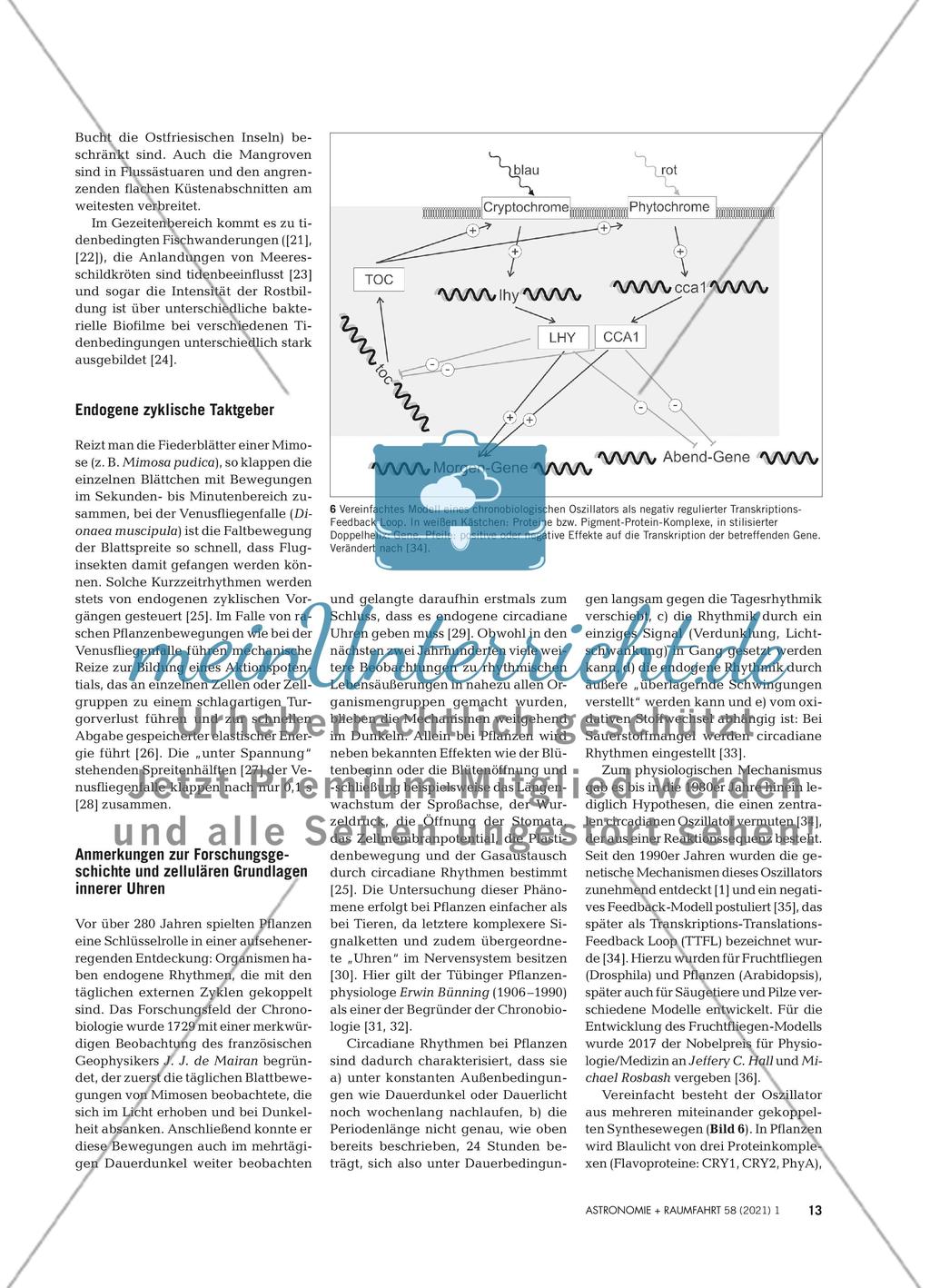Astronomie als Grundlage für die Biologie Preview 4
