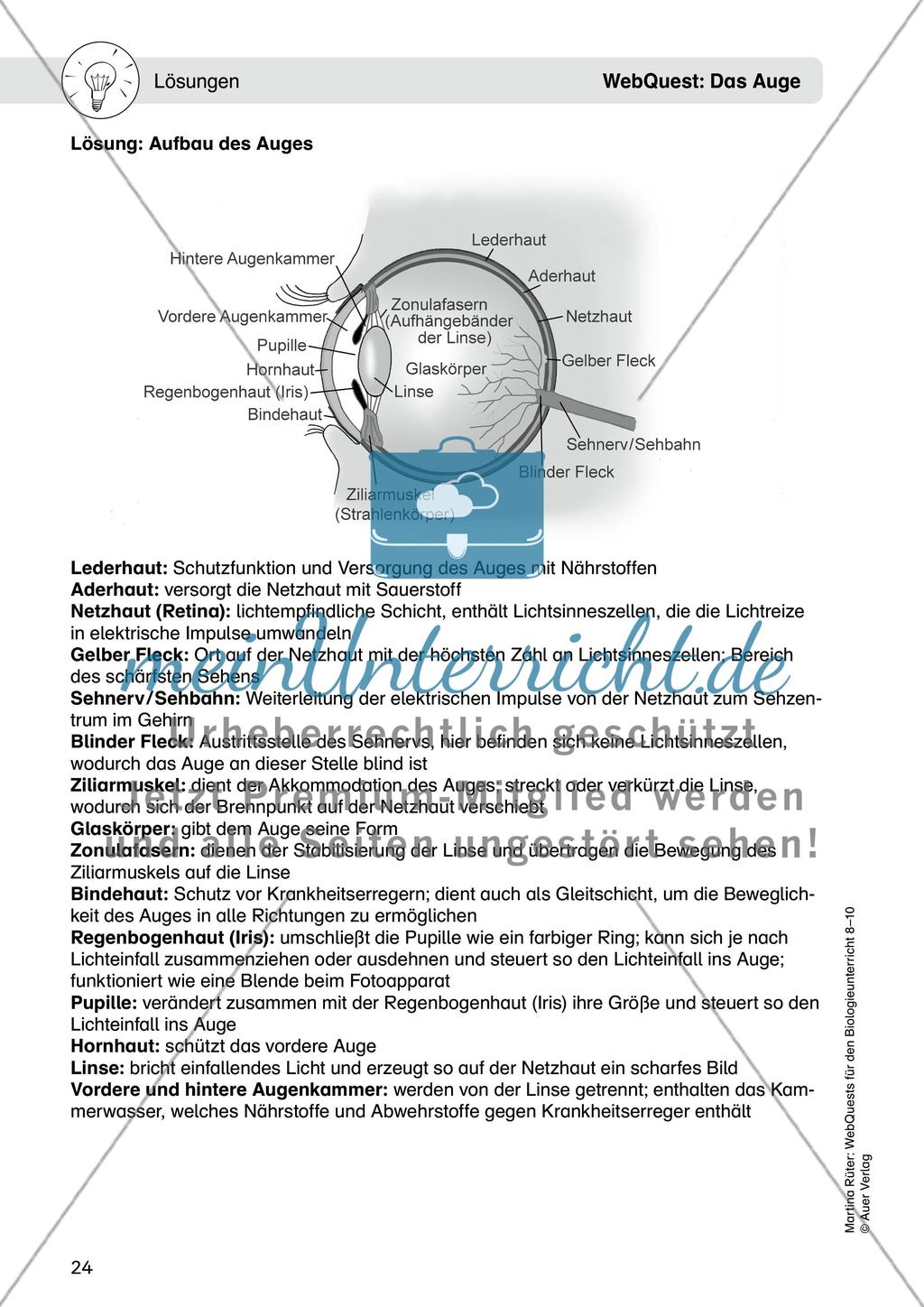 WebQuest: Das Auge Preview 10