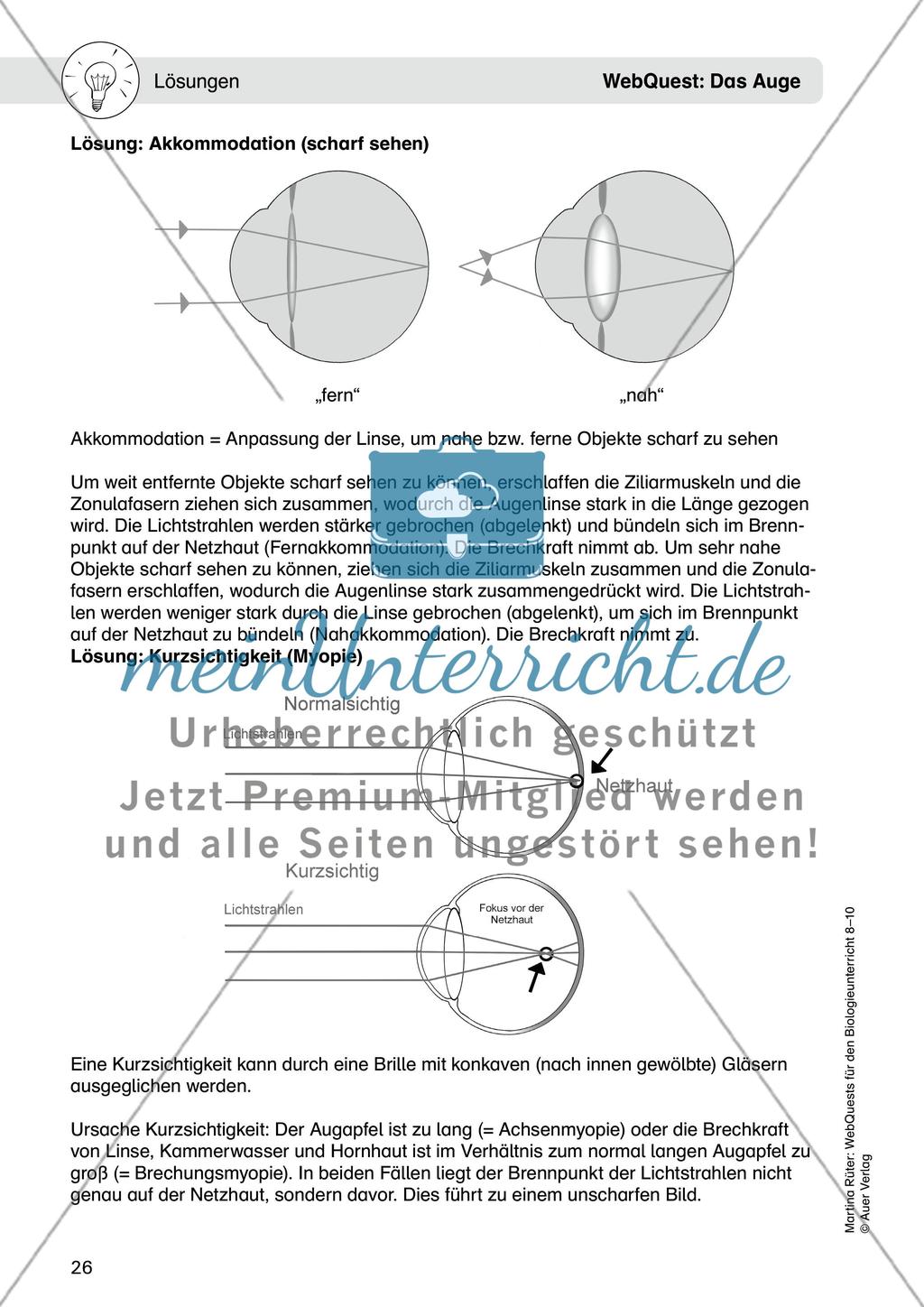 WebQuest: Das Auge Preview 12