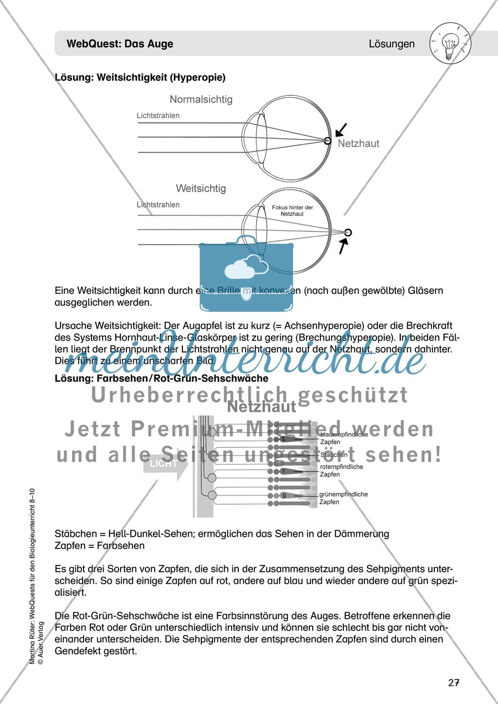 WebQuest: Das Auge Preview 13