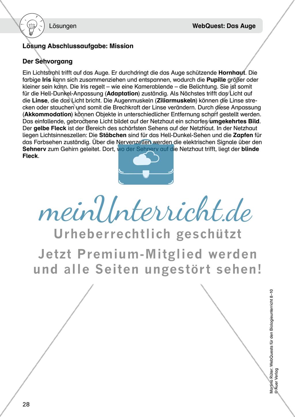 WebQuest: Das Auge Preview 14