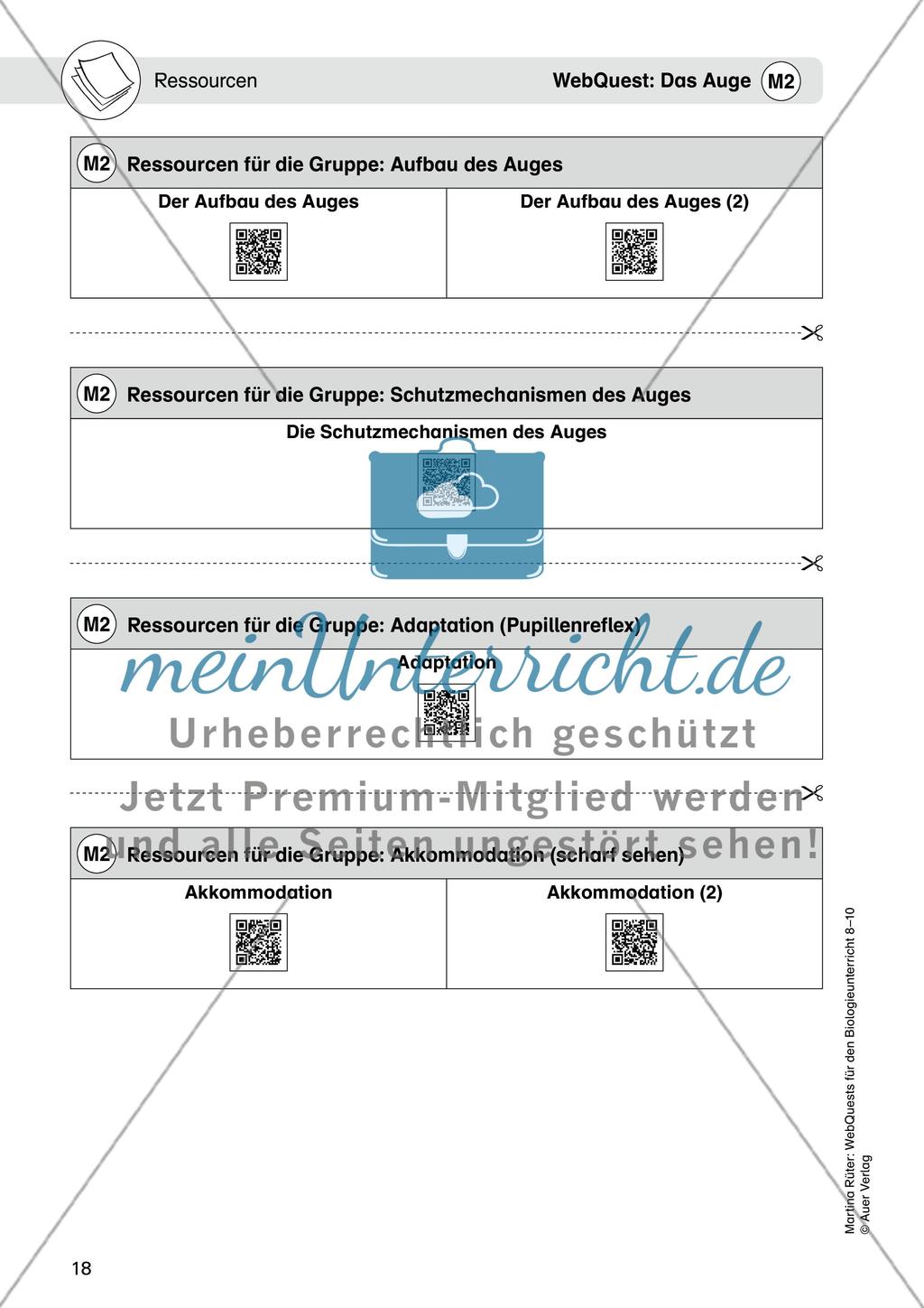 WebQuest: Das Auge Preview 4