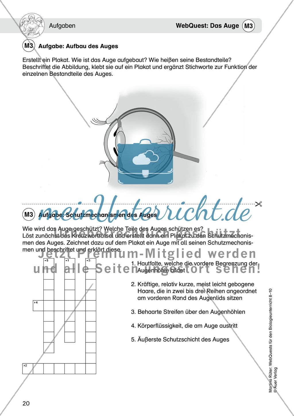 WebQuest: Das Auge Preview 6