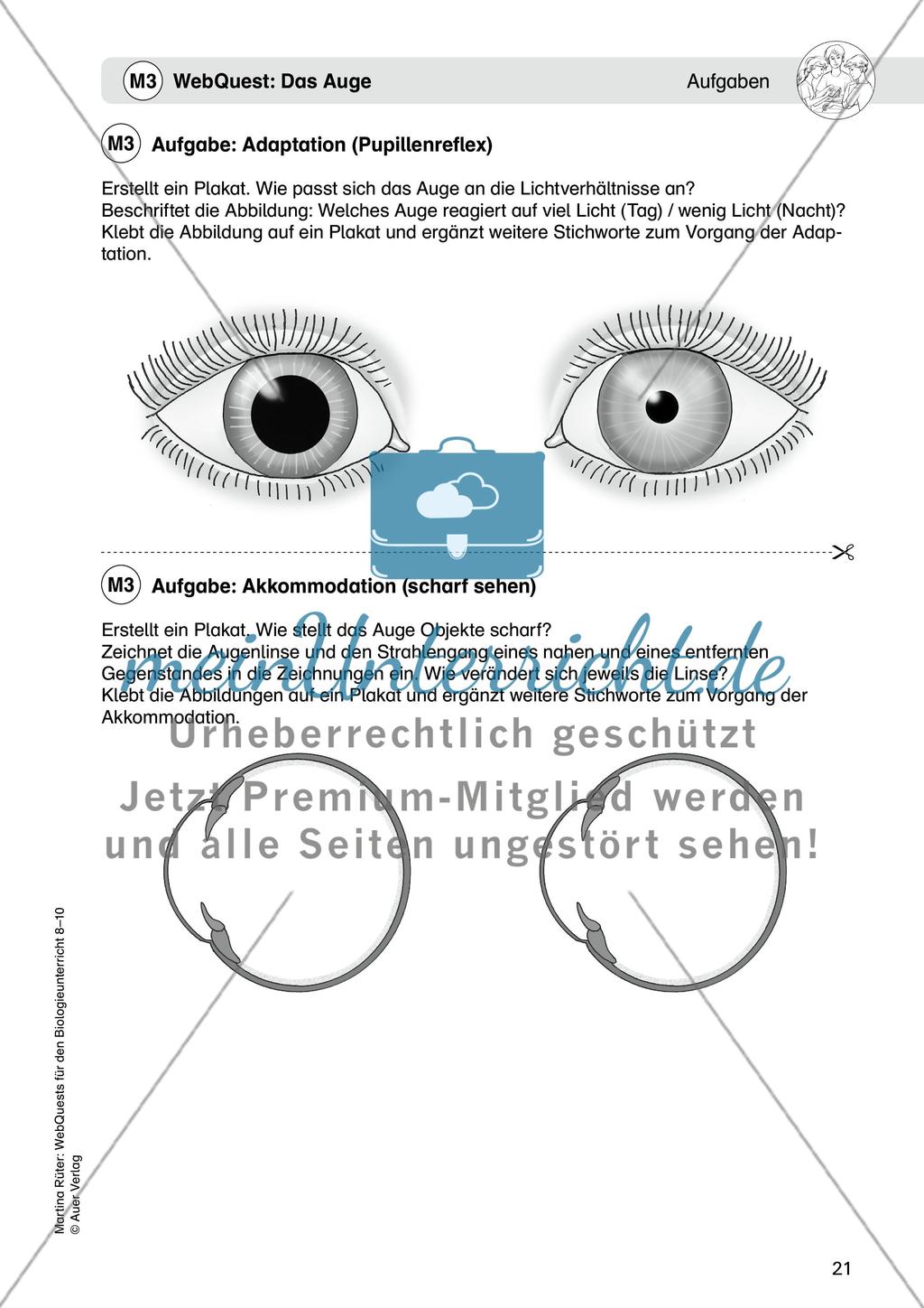 WebQuest: Das Auge Preview 7