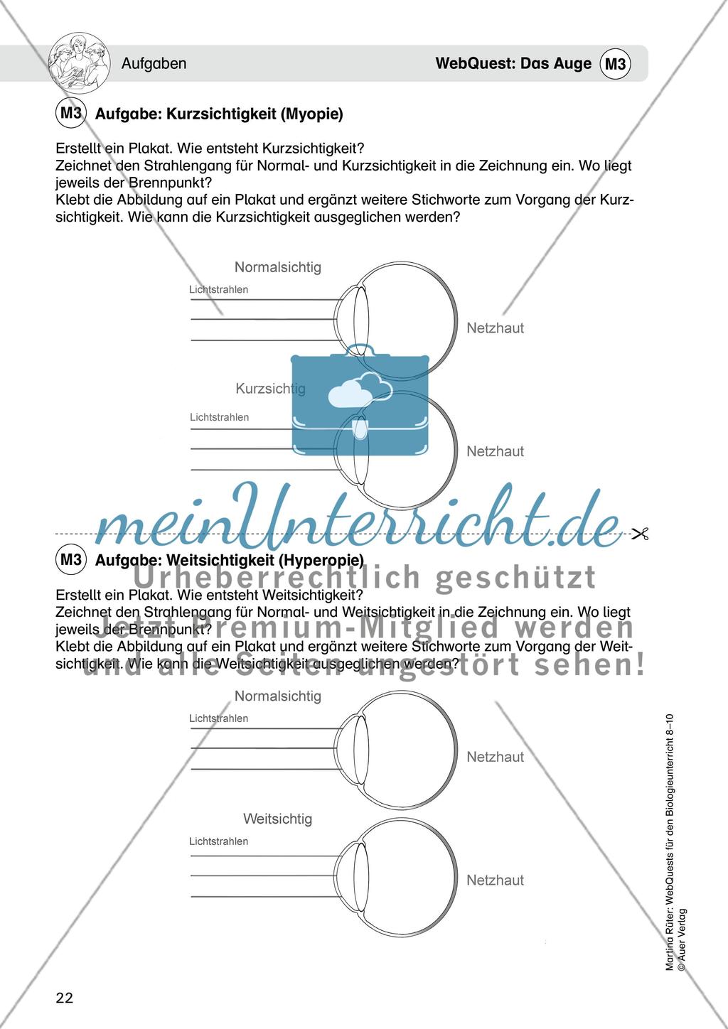 WebQuest: Das Auge Preview 8