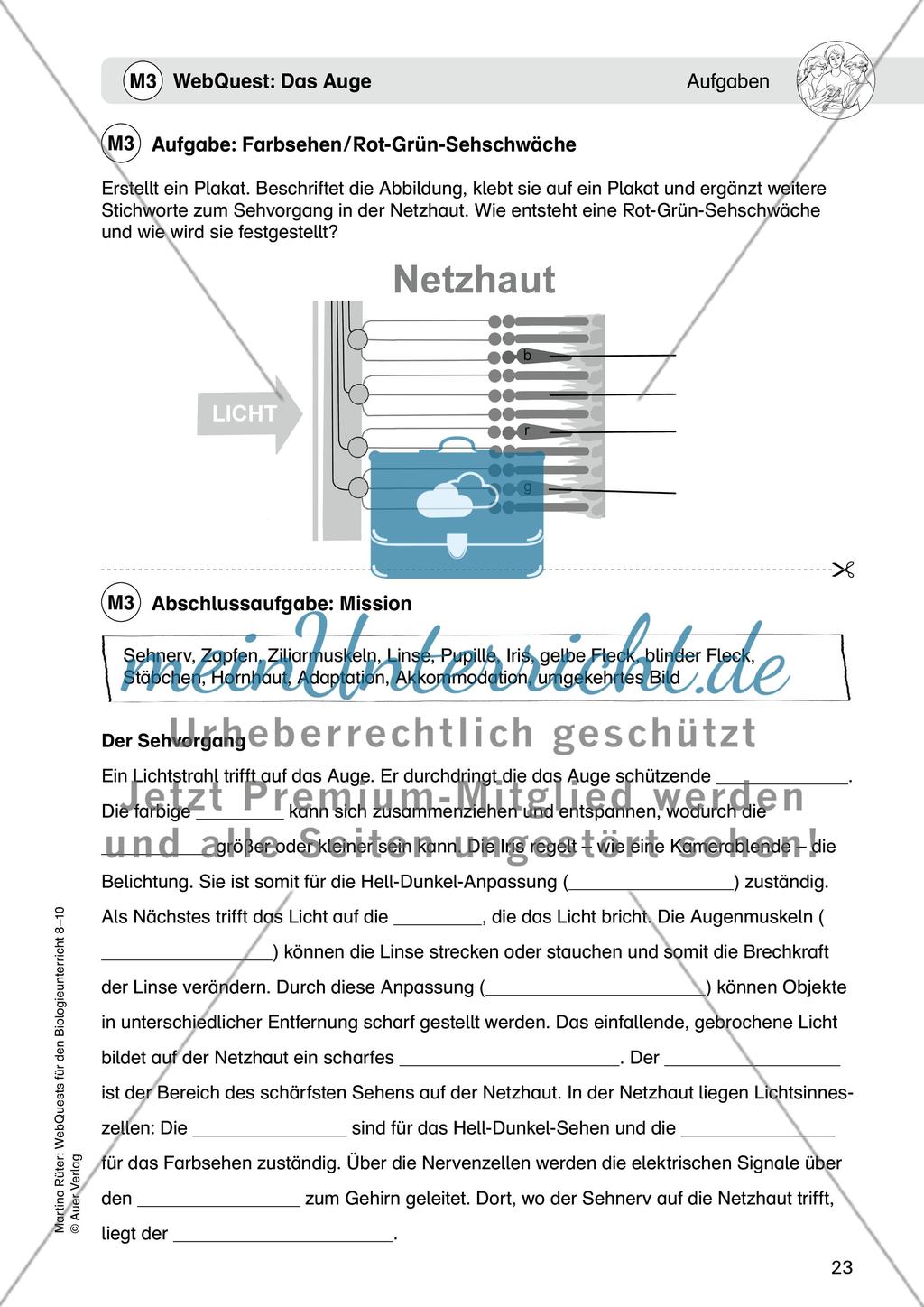 WebQuest: Das Auge Preview 9
