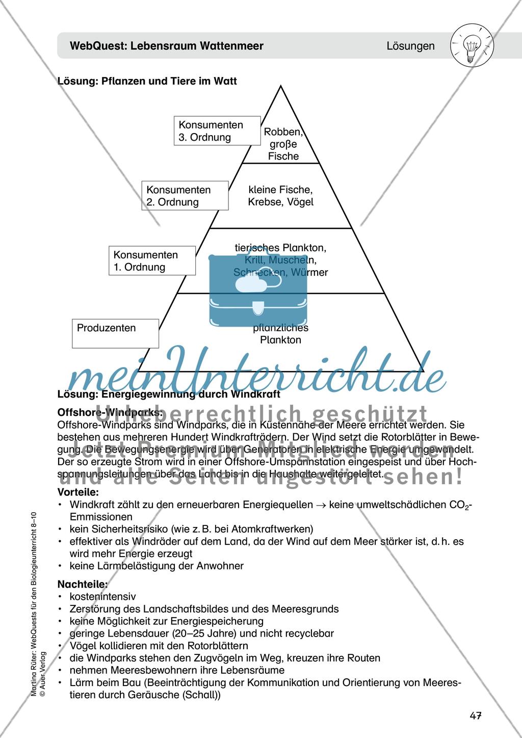 WebQuest: Lebensraum Wattenmeer Preview 10