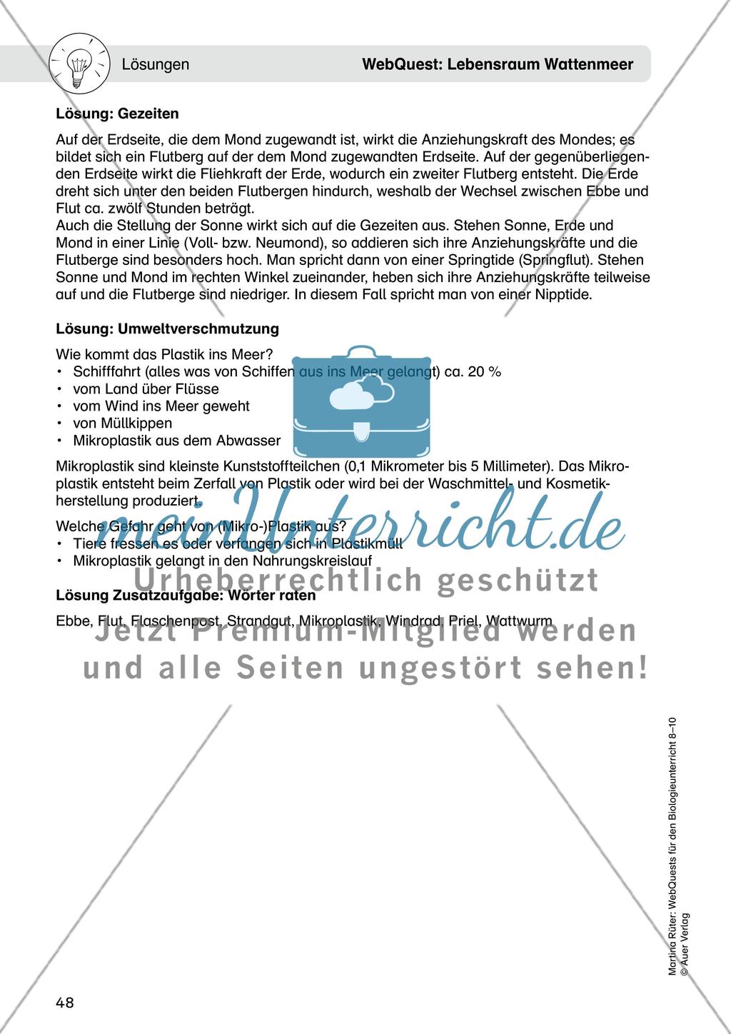 WebQuest: Lebensraum Wattenmeer Preview 11