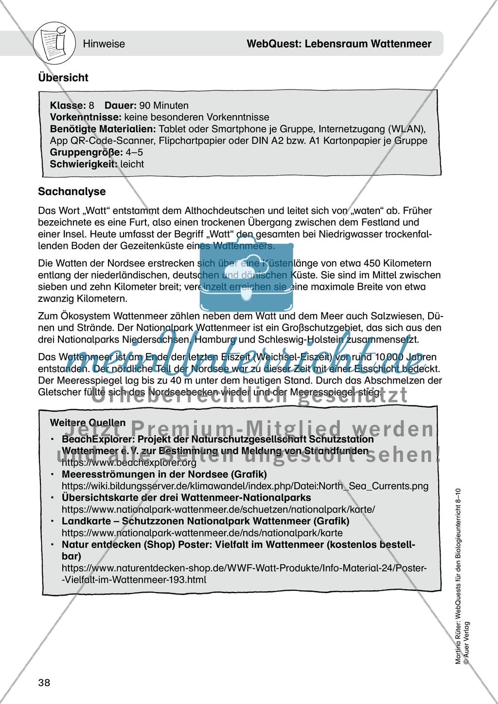 WebQuest: Lebensraum Wattenmeer Preview 1