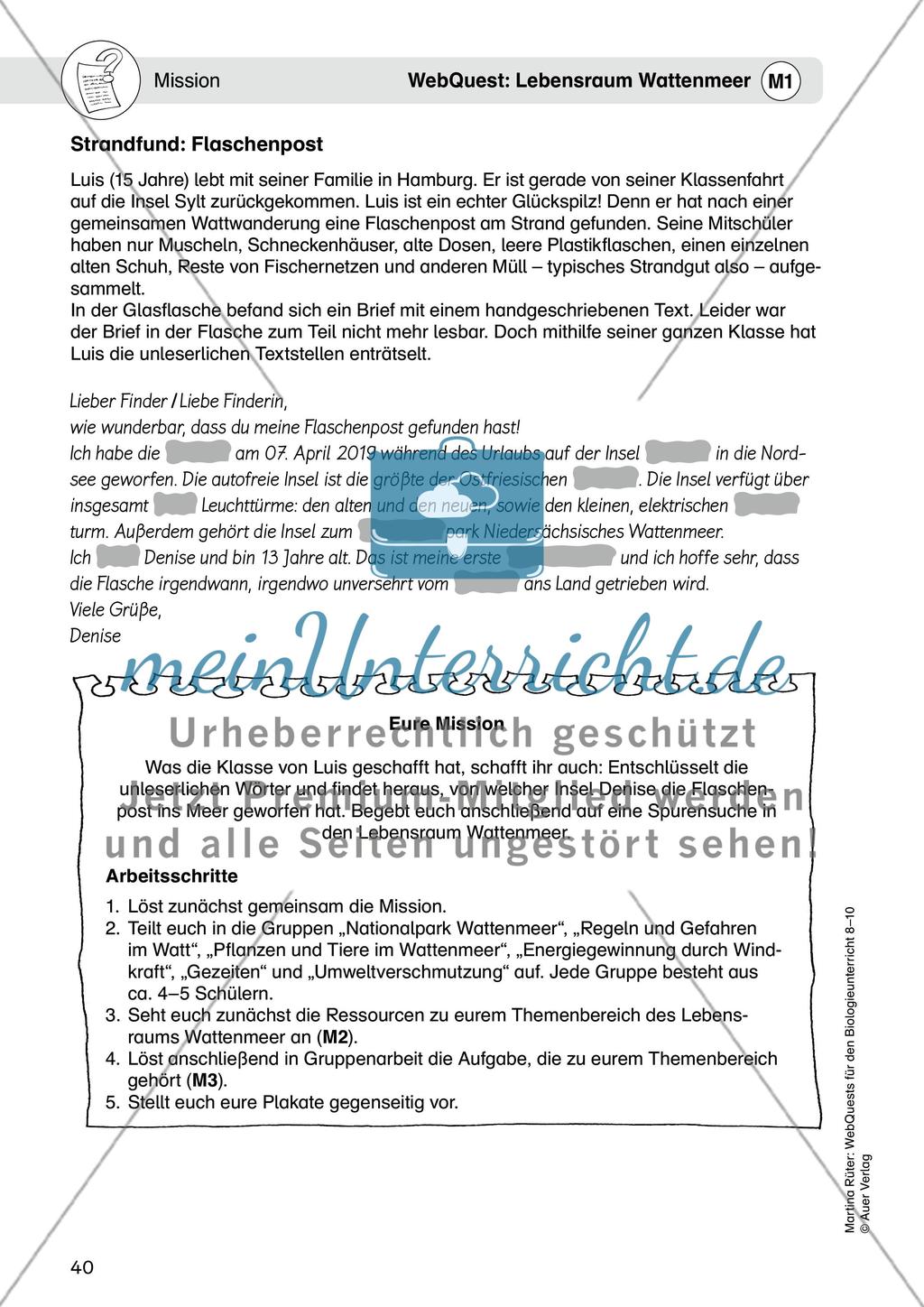 WebQuest: Lebensraum Wattenmeer Preview 3