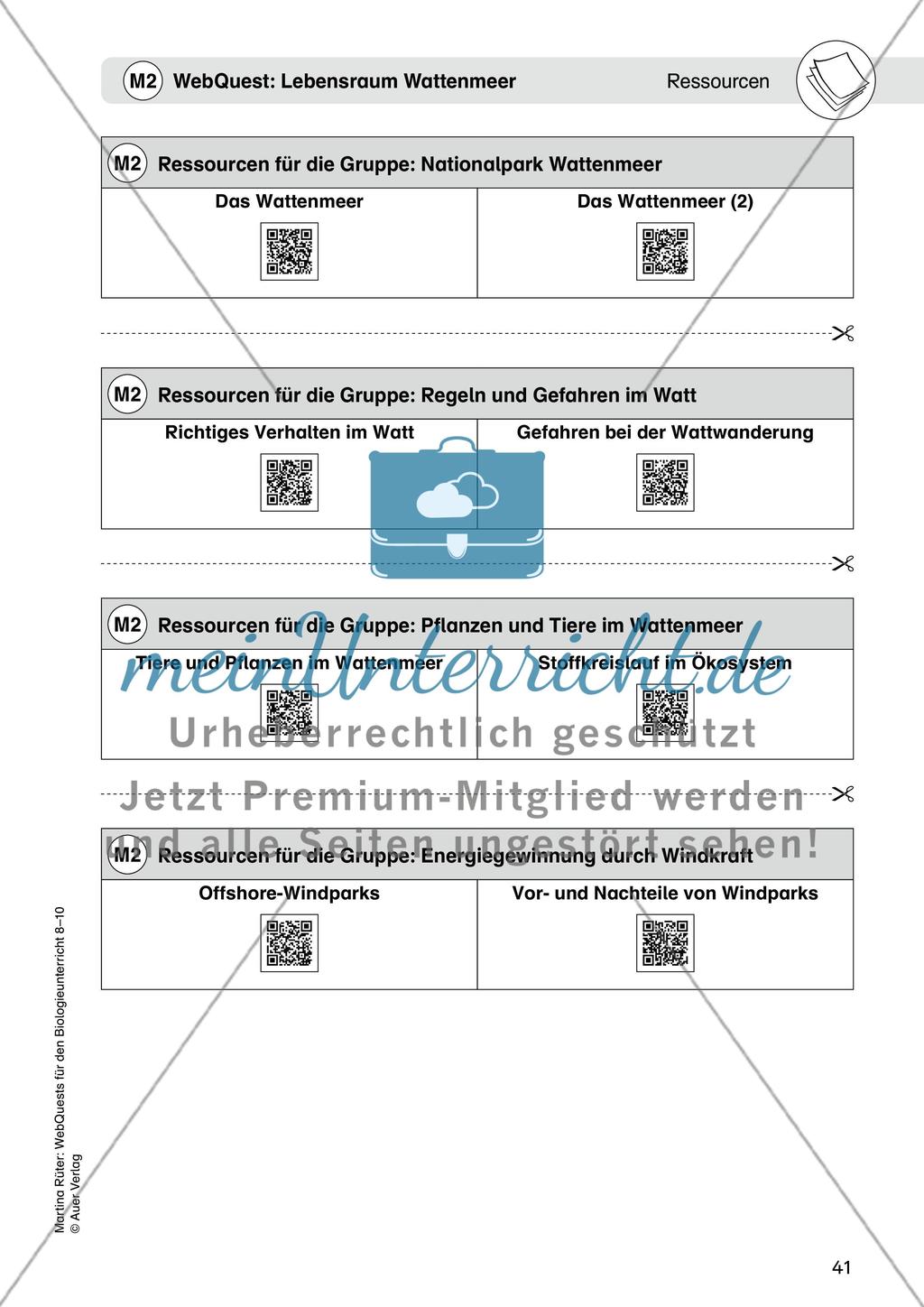 WebQuest: Lebensraum Wattenmeer Preview 4