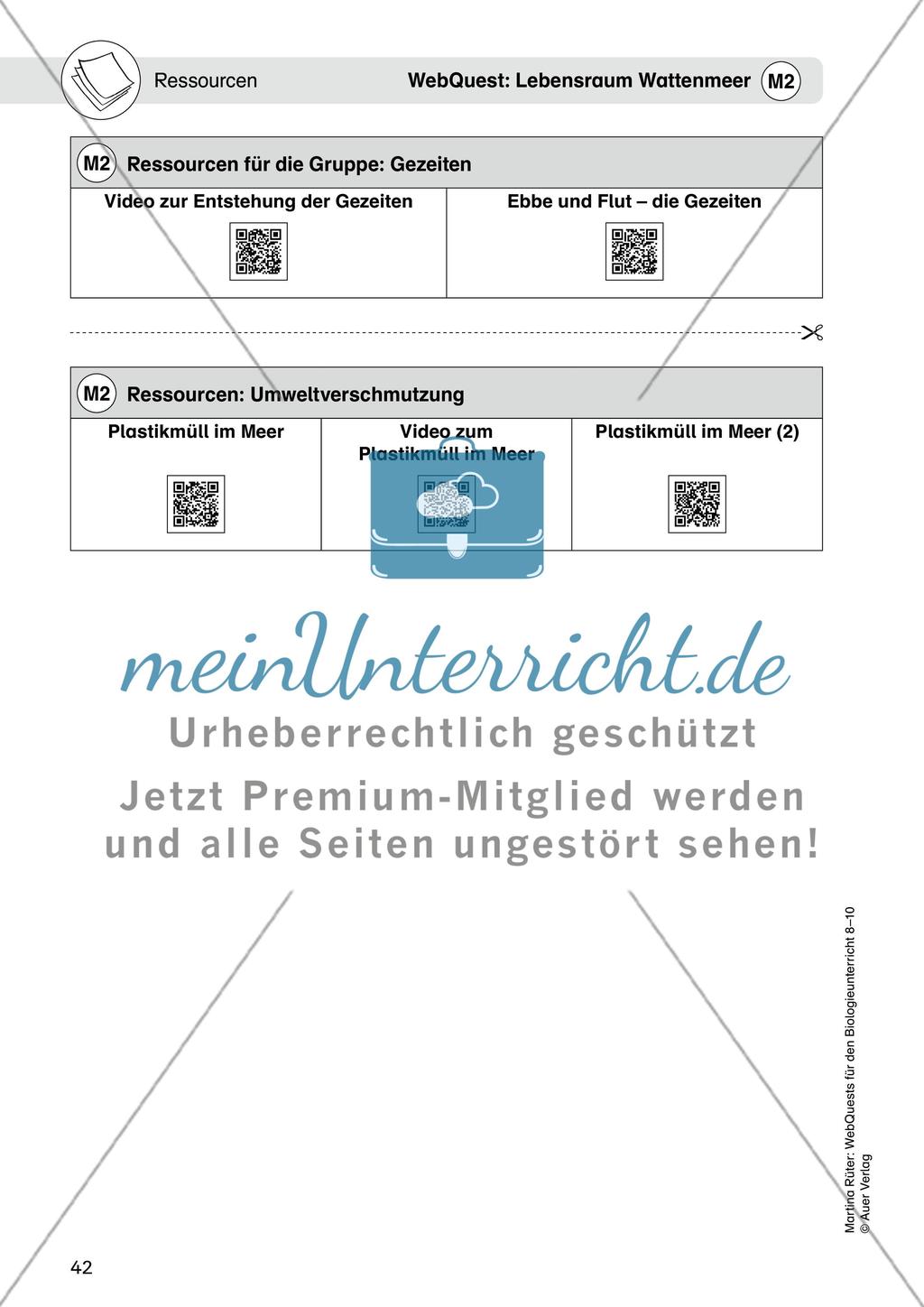 WebQuest: Lebensraum Wattenmeer Preview 5