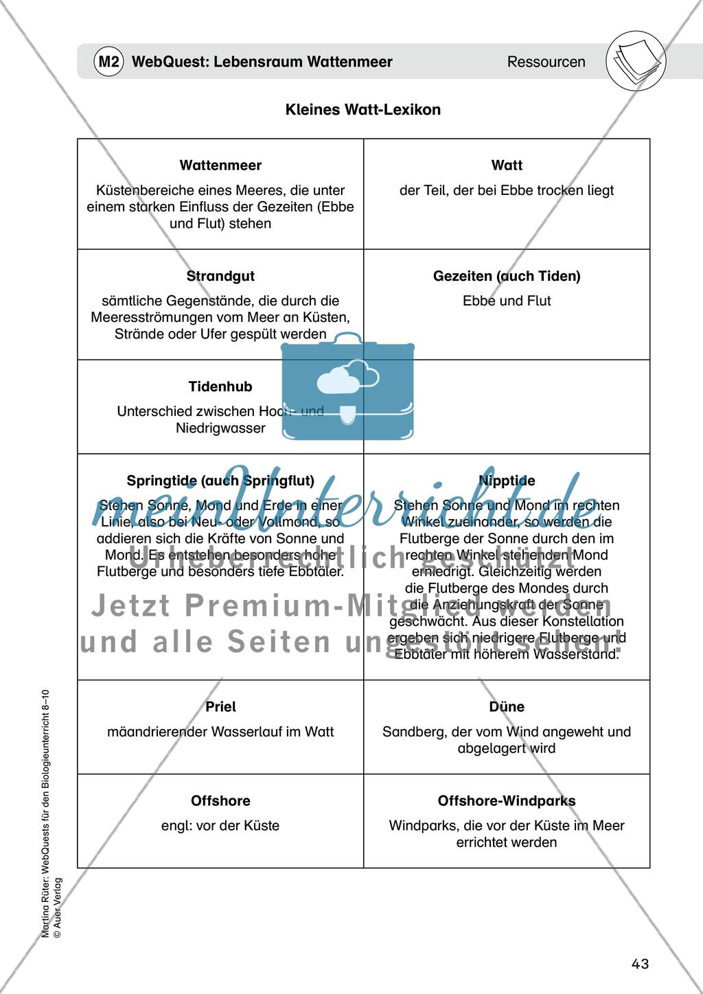 WebQuest: Lebensraum Wattenmeer Preview 6