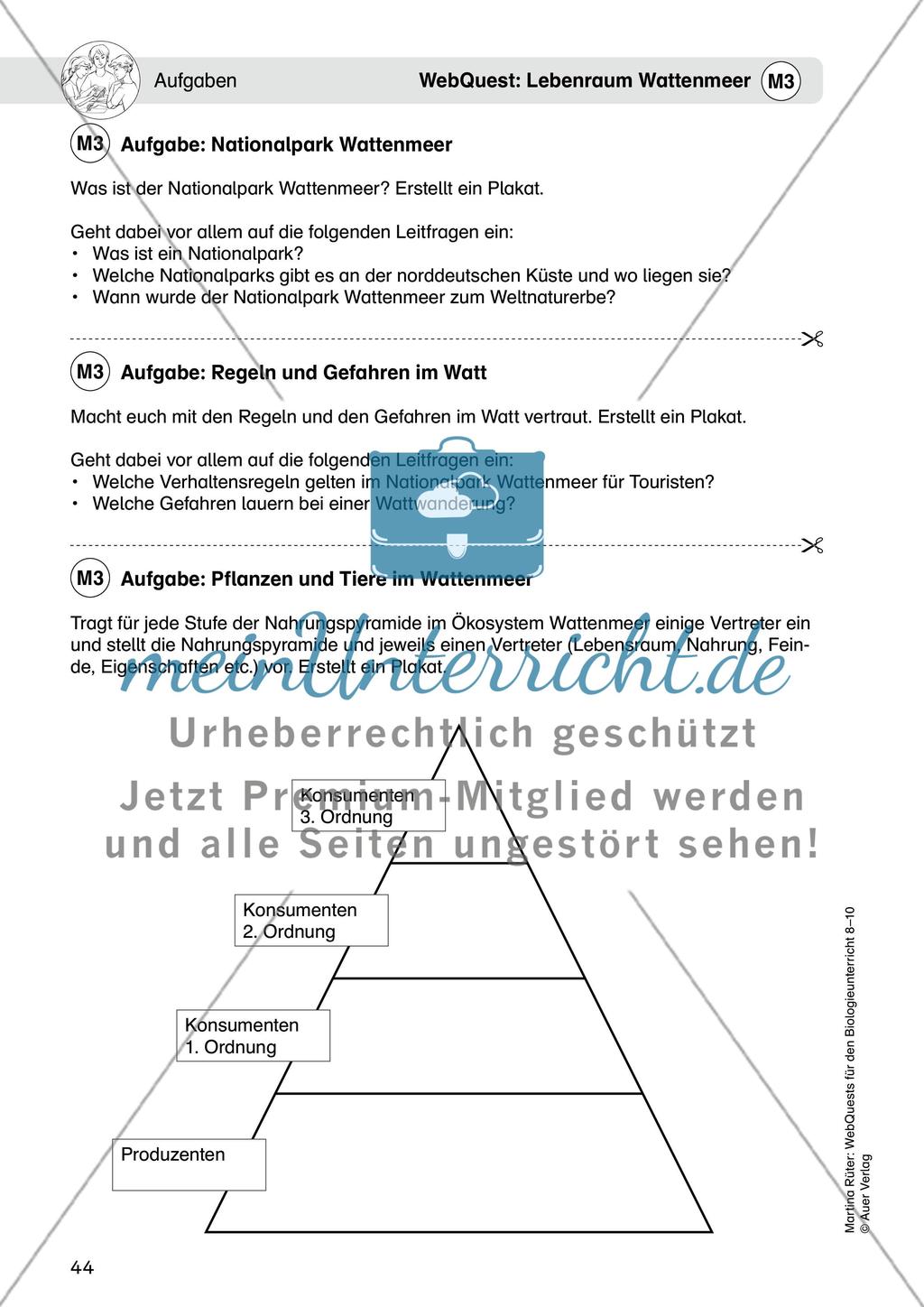 WebQuest: Lebensraum Wattenmeer Preview 7