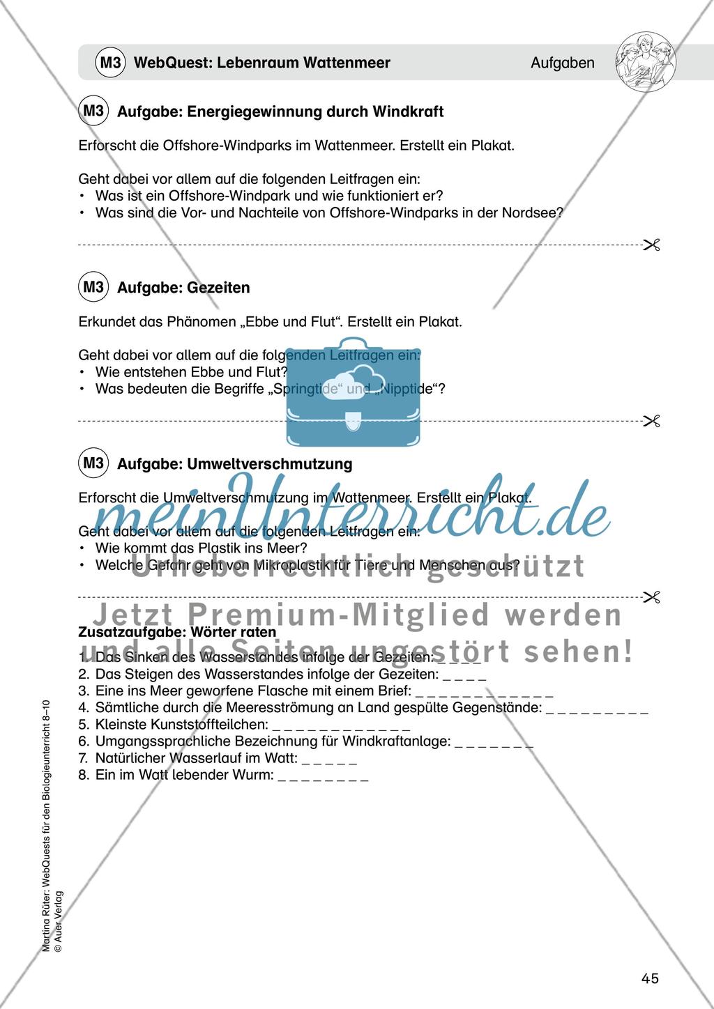 WebQuest: Lebensraum Wattenmeer Preview 8