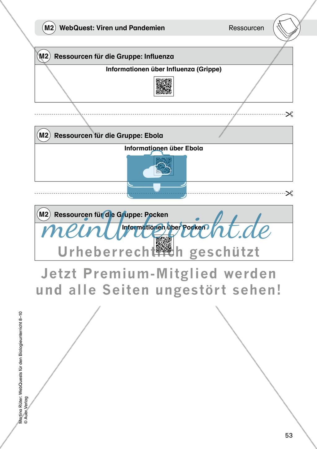 WebQuest: Viren und Pandemien Preview 5