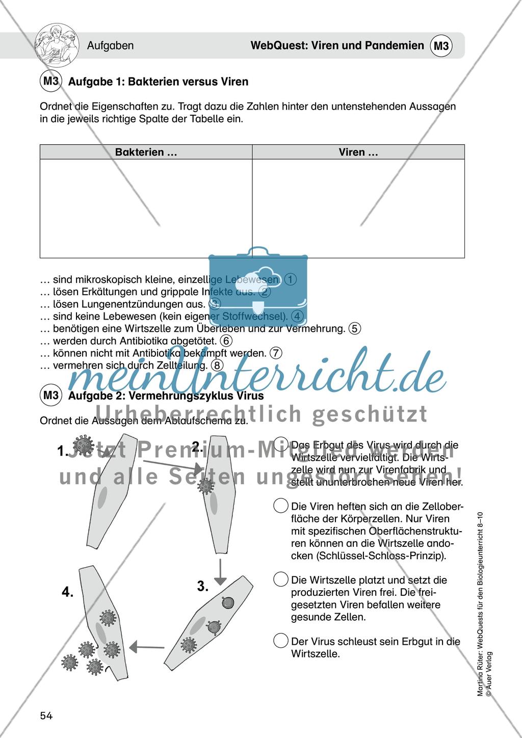 WebQuest: Viren und Pandemien Preview 6