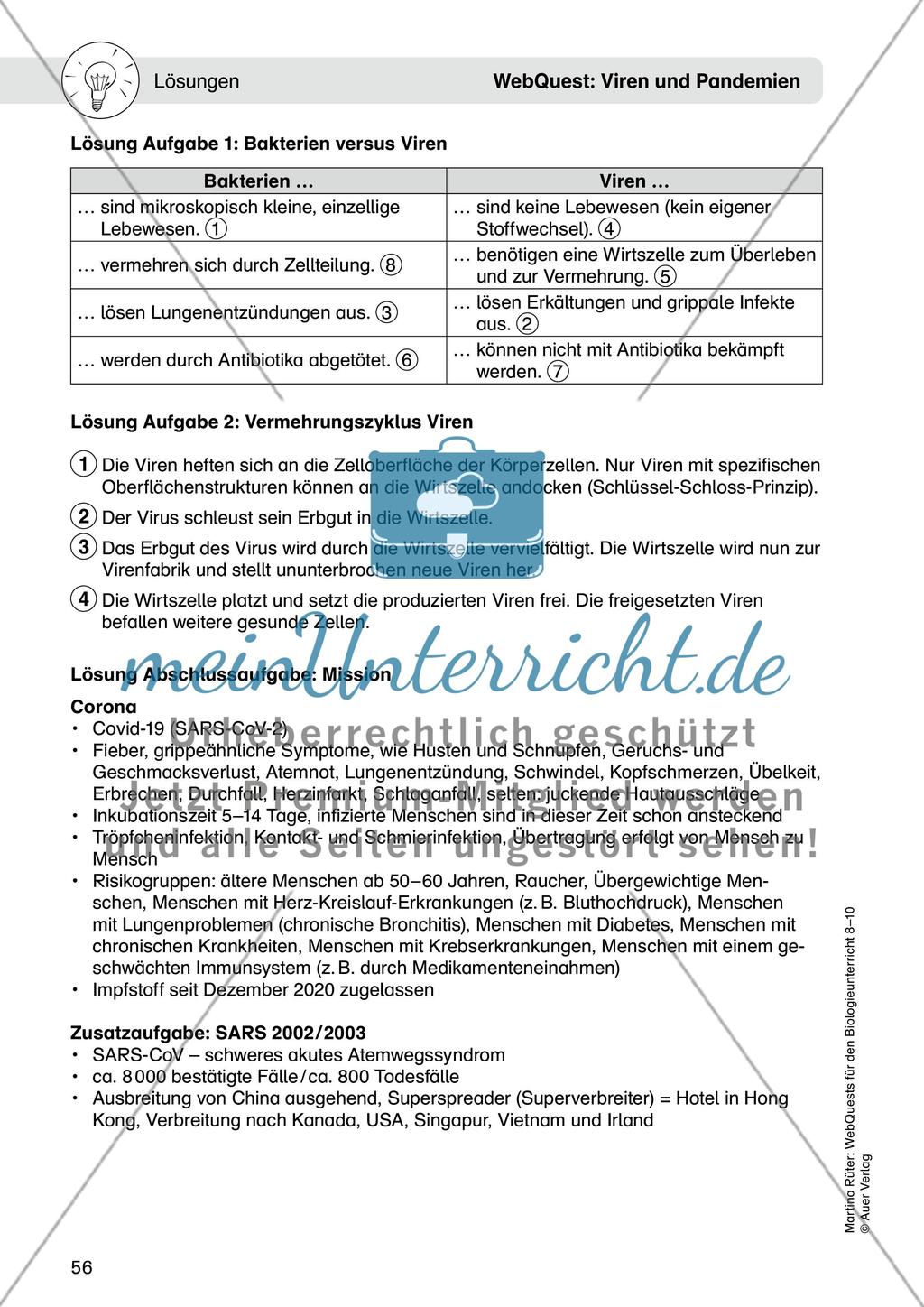 WebQuest: Viren und Pandemien Preview 8