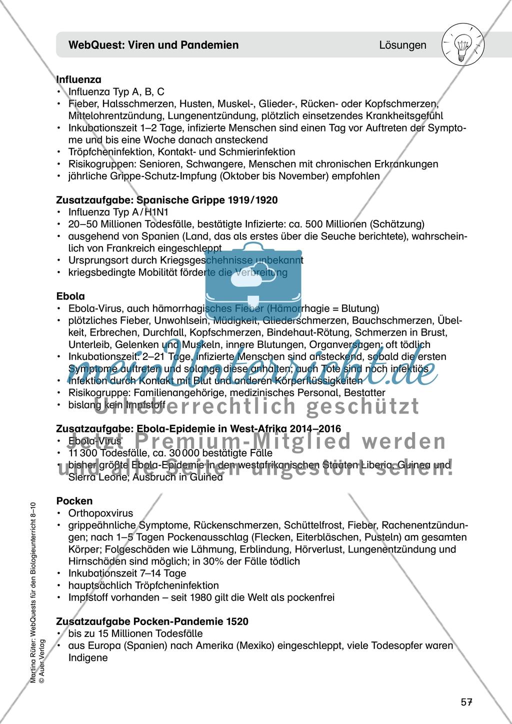 WebQuest: Viren und Pandemien Preview 9