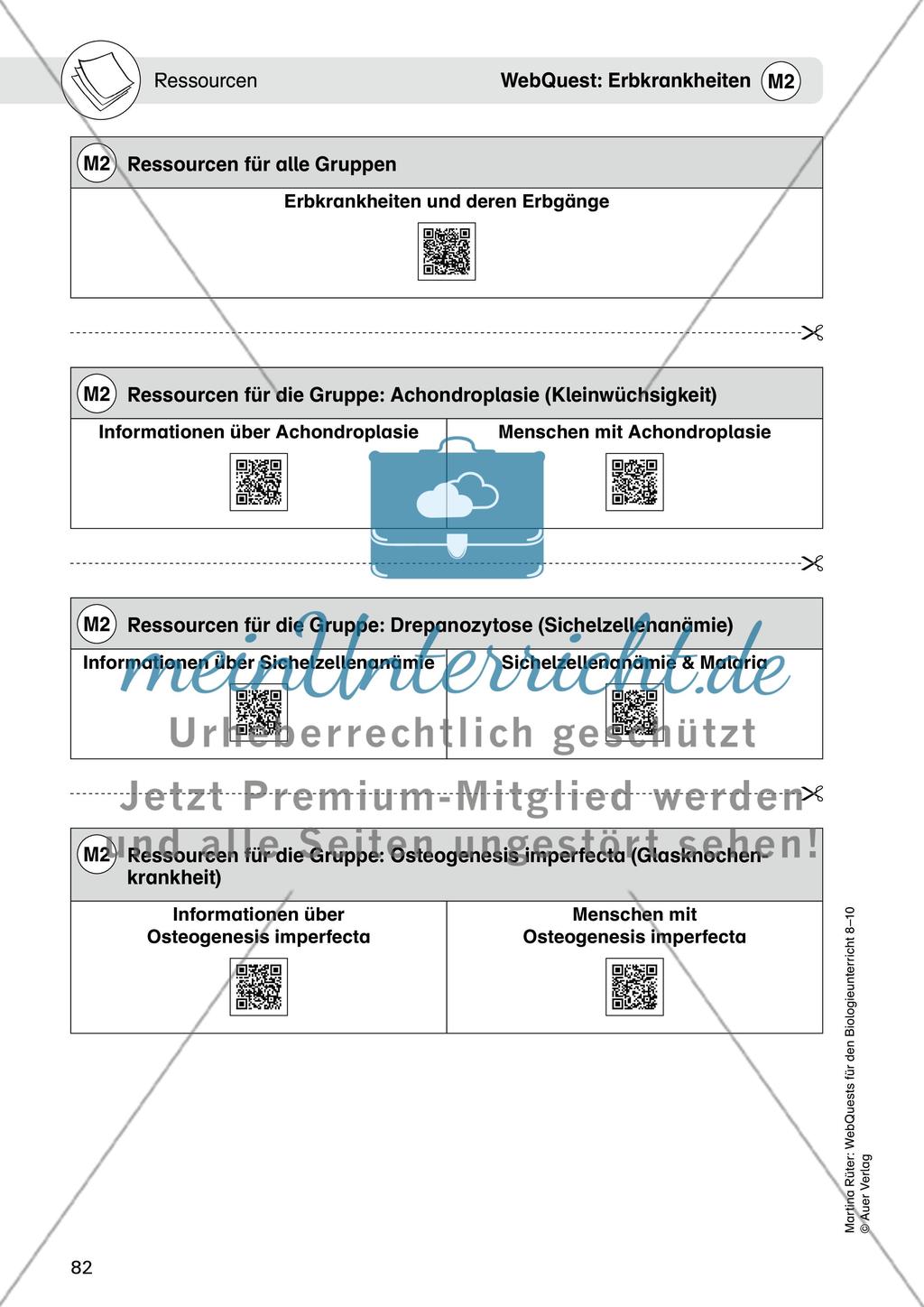 WebQuest: Erbkrankheiten Preview 4