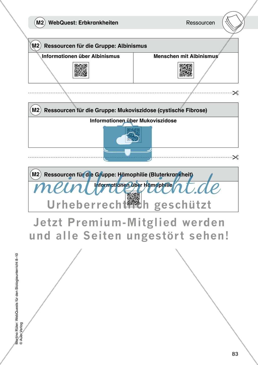 WebQuest: Erbkrankheiten Preview 5