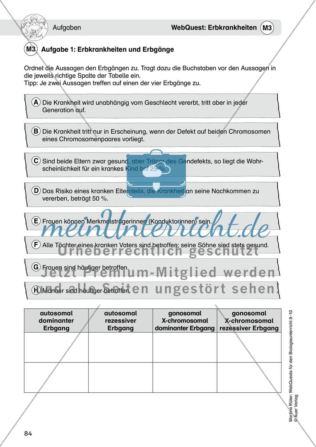 WebQuest: Erbkrankheiten Preview 6