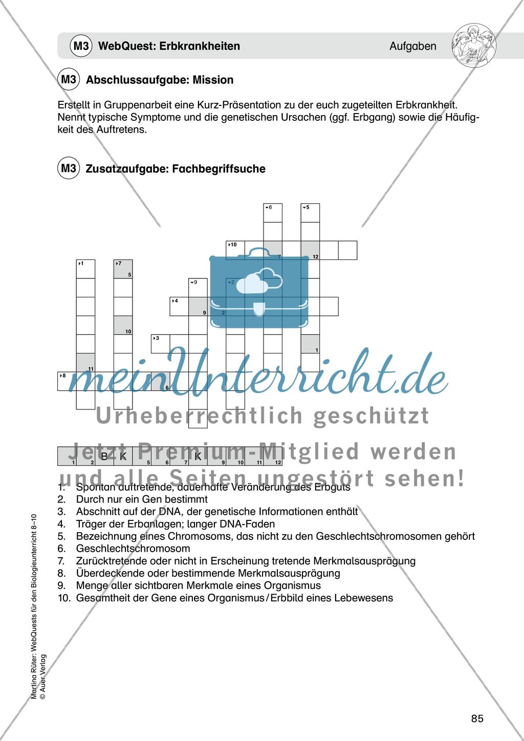 WebQuest: Erbkrankheiten Preview 7