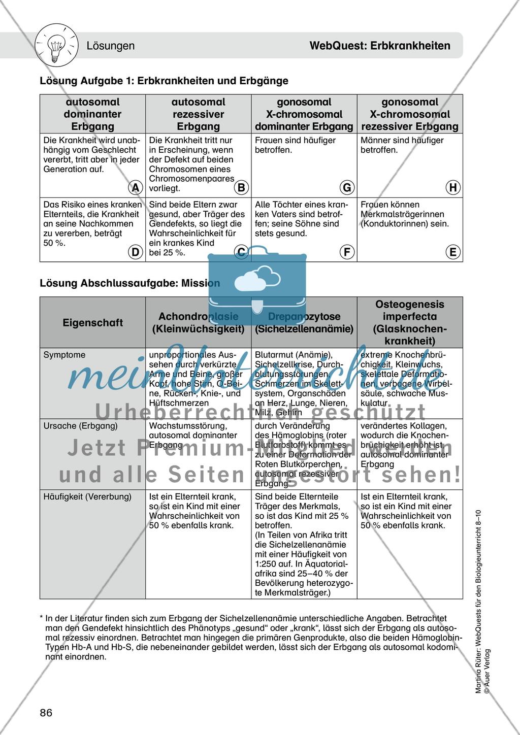 WebQuest: Erbkrankheiten Preview 8