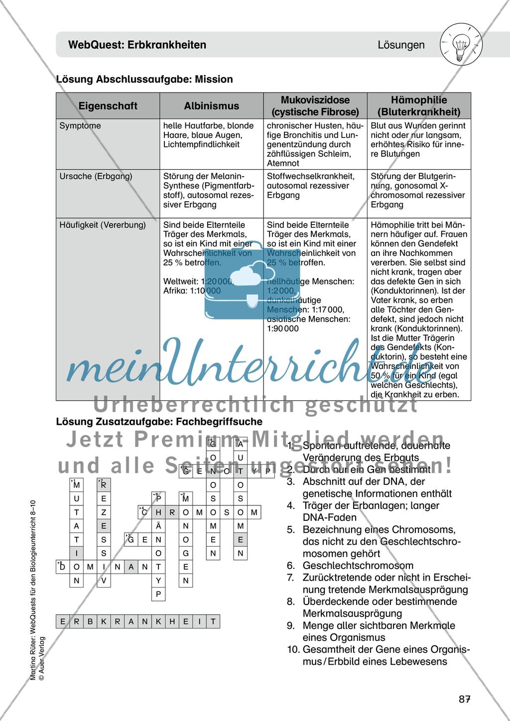 WebQuest: Erbkrankheiten Preview 9