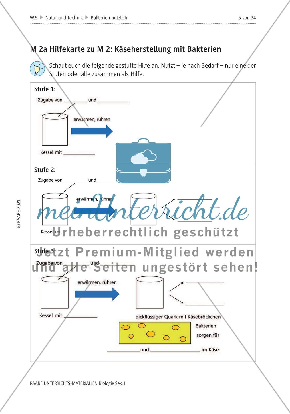 Bakterien - M1-M6 Preview 3