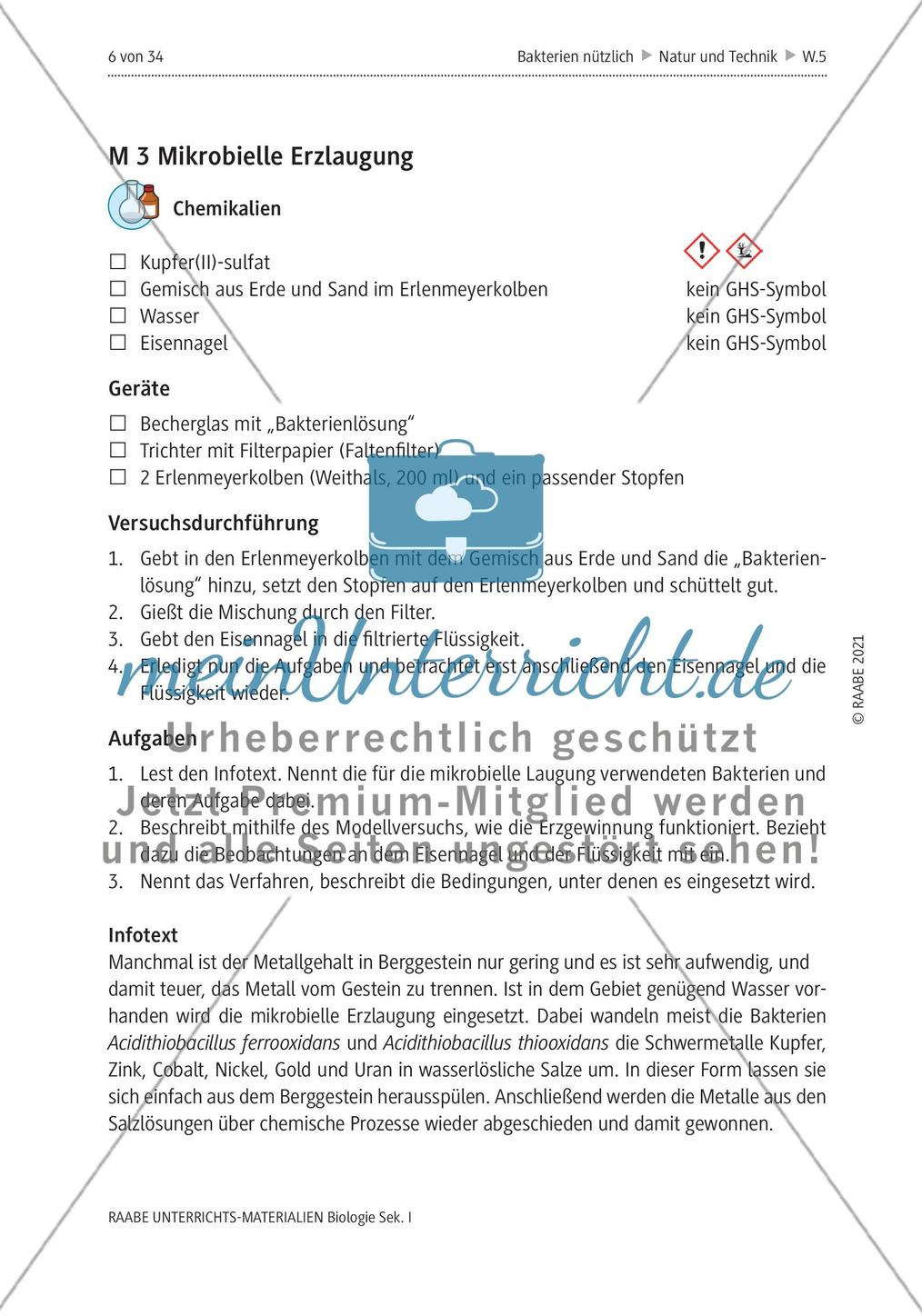 Bakterien - M1-M6 Preview 4