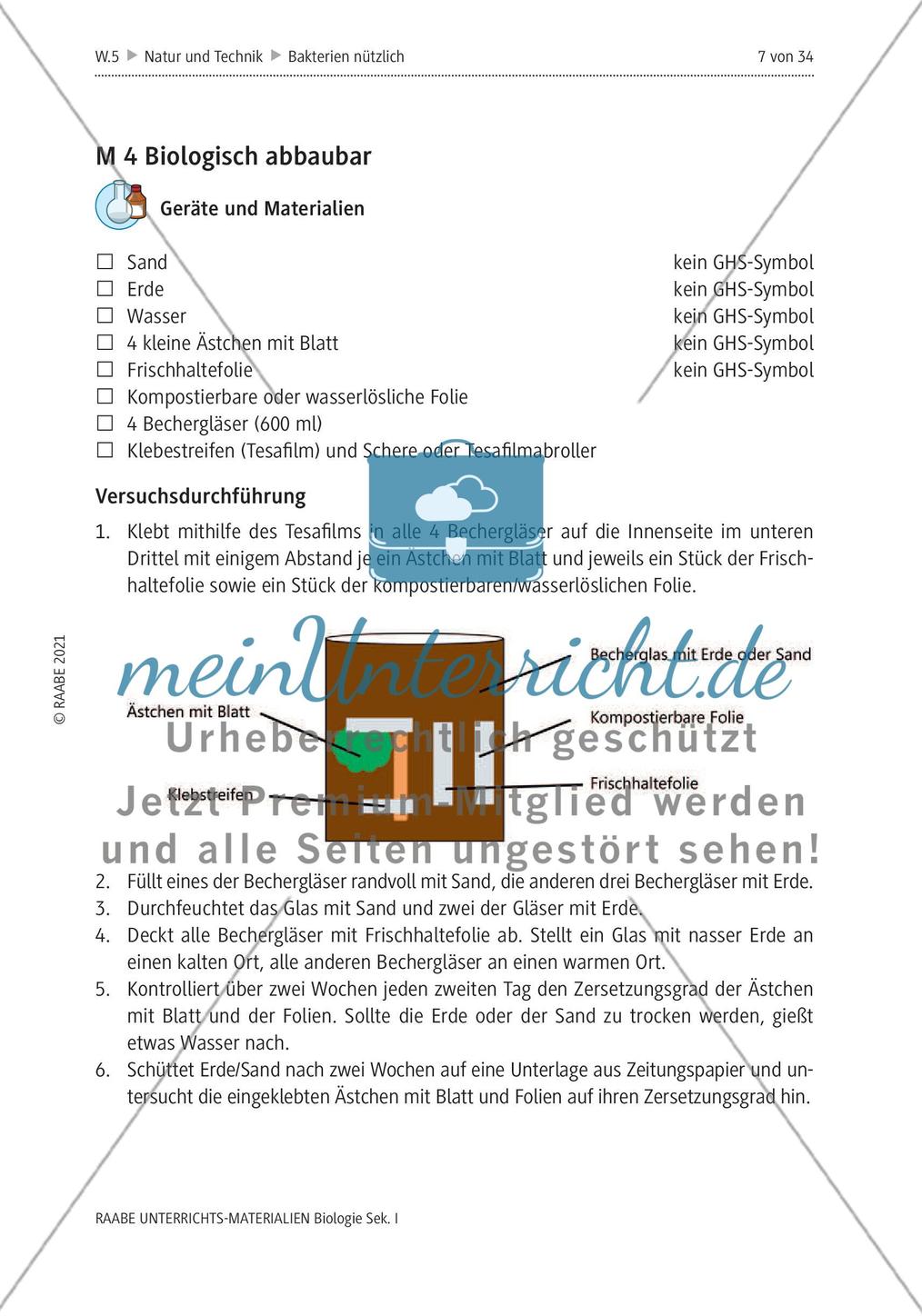 Bakterien - M1-M6 Preview 5