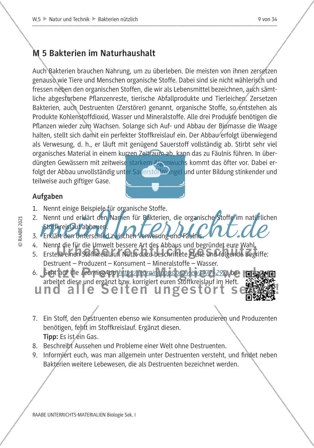 Bakterien - M1-M6 Preview 7