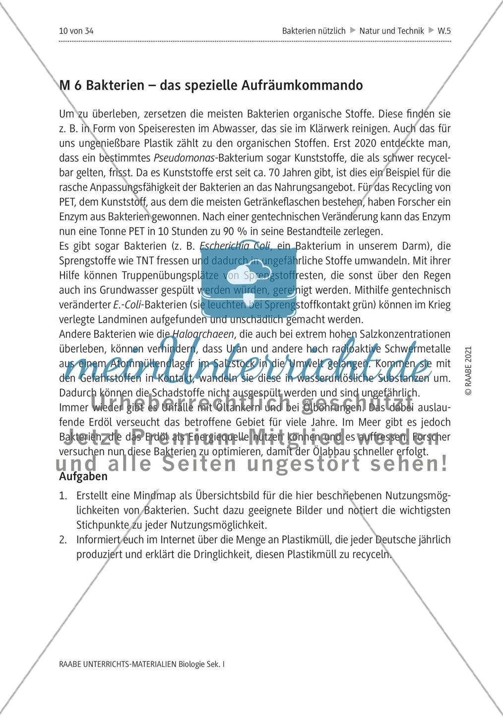 Bakterien - M1-M6 Preview 8