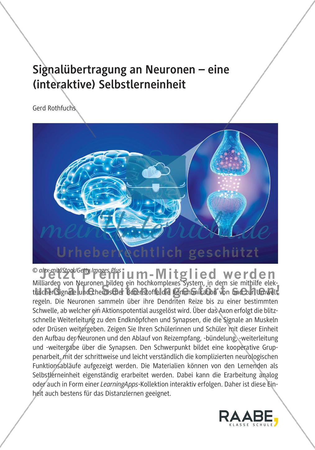Einführung Preview 1