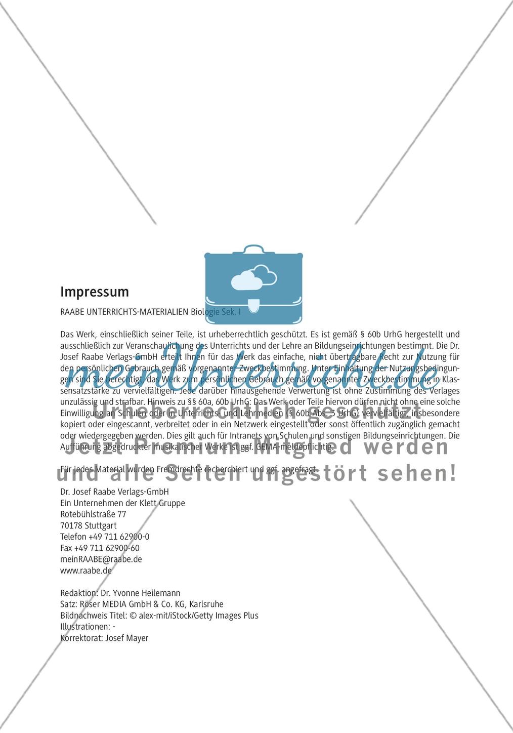Einführung Preview 2