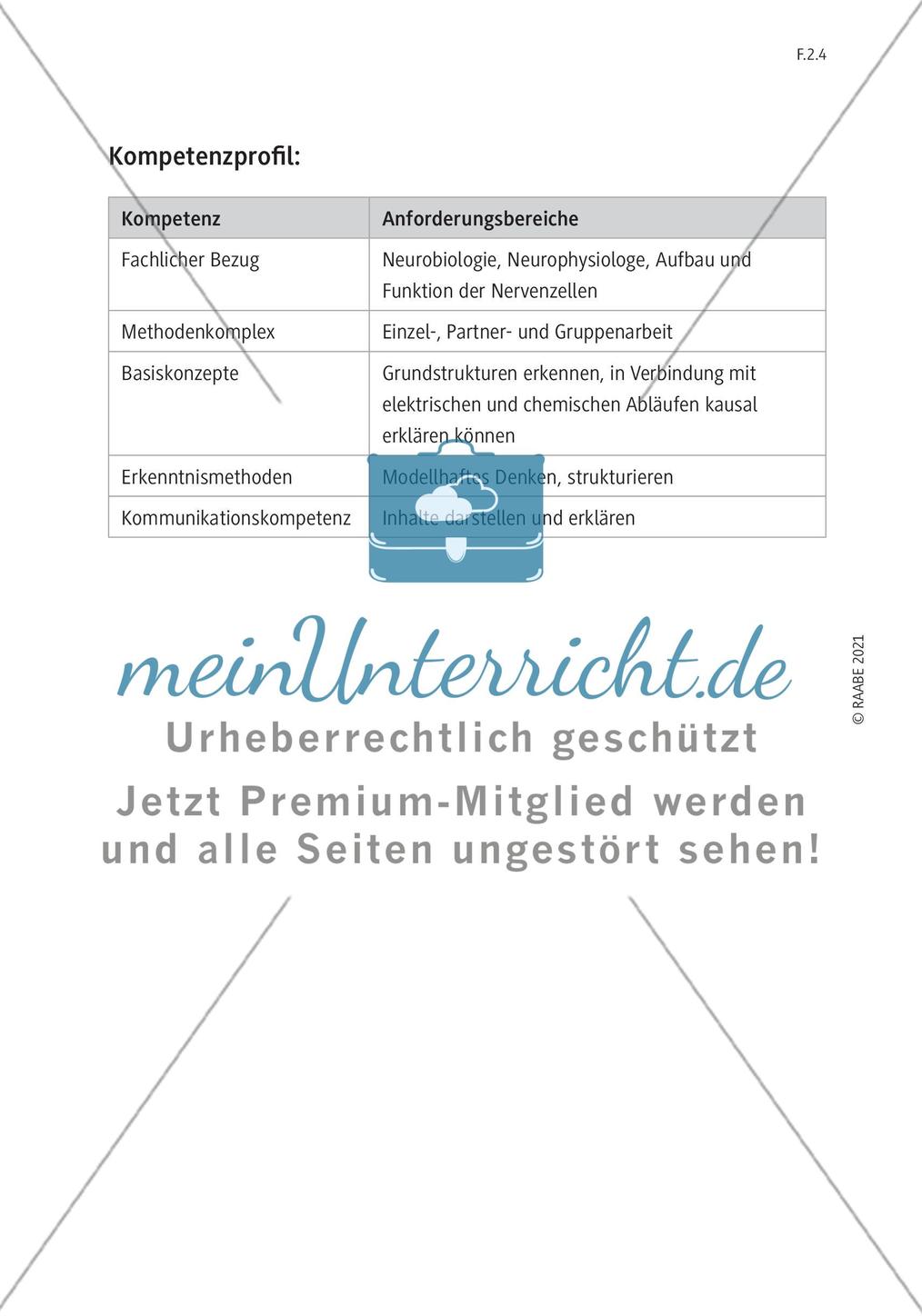 Einführung Preview 4