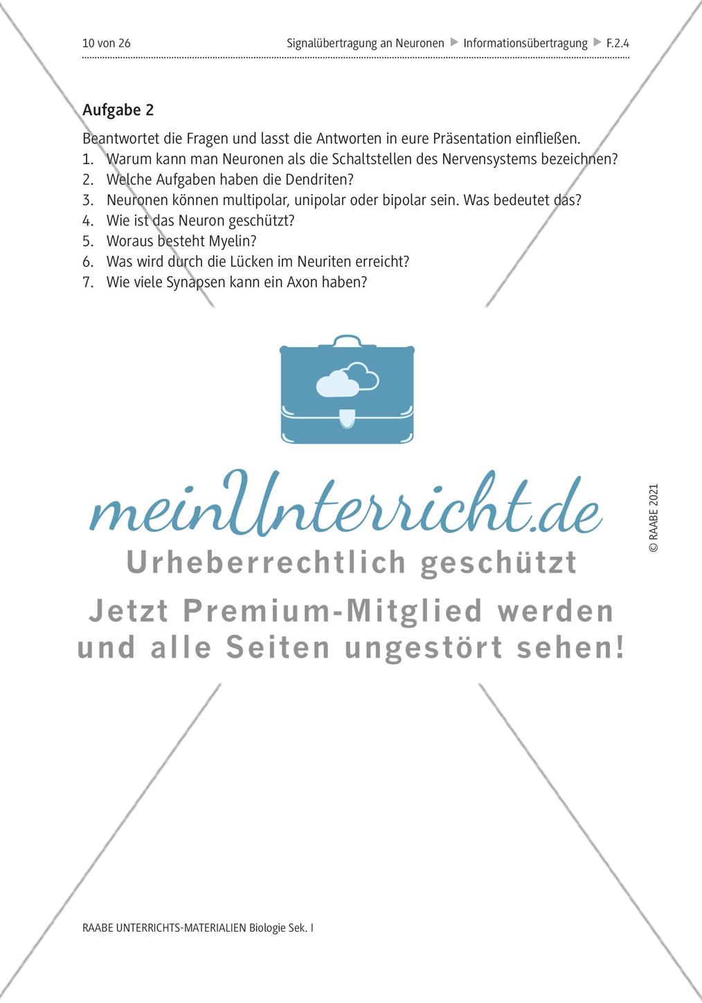 Signalübertragung an Neuronen - M4-M8 Preview 2
