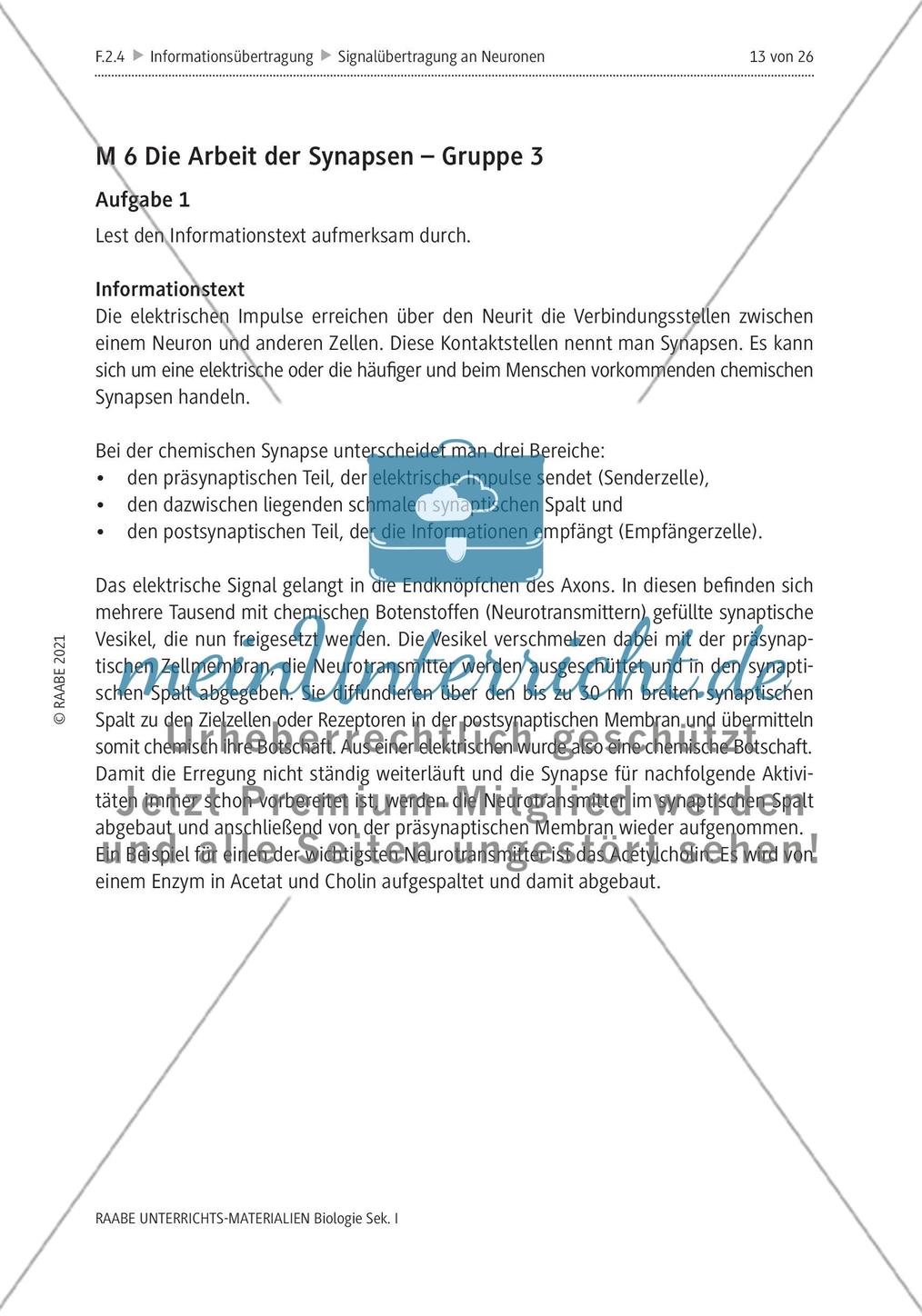 Signalübertragung an Neuronen - M4-M8 Preview 5