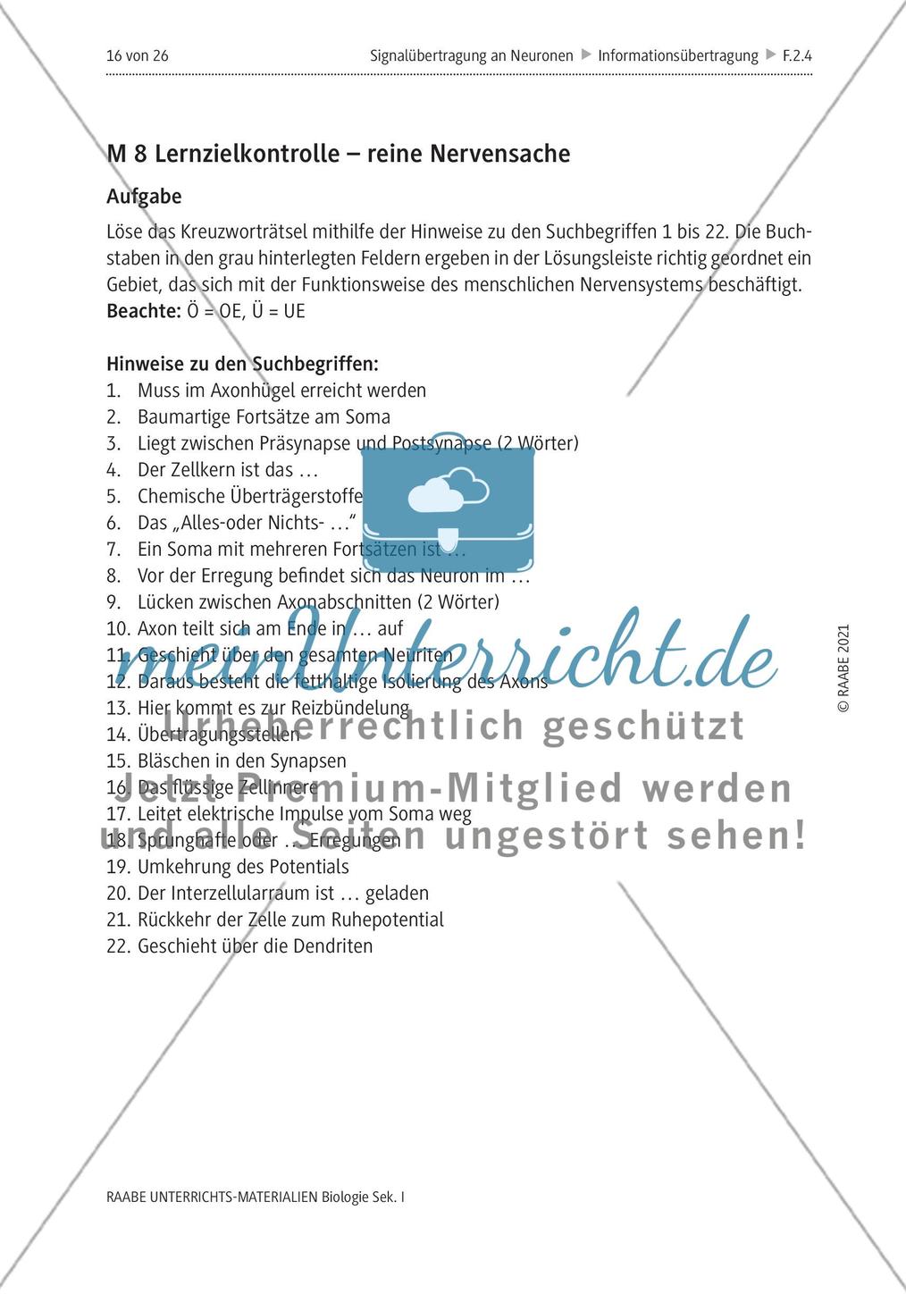 Signalübertragung an Neuronen - M4-M8 Preview 8