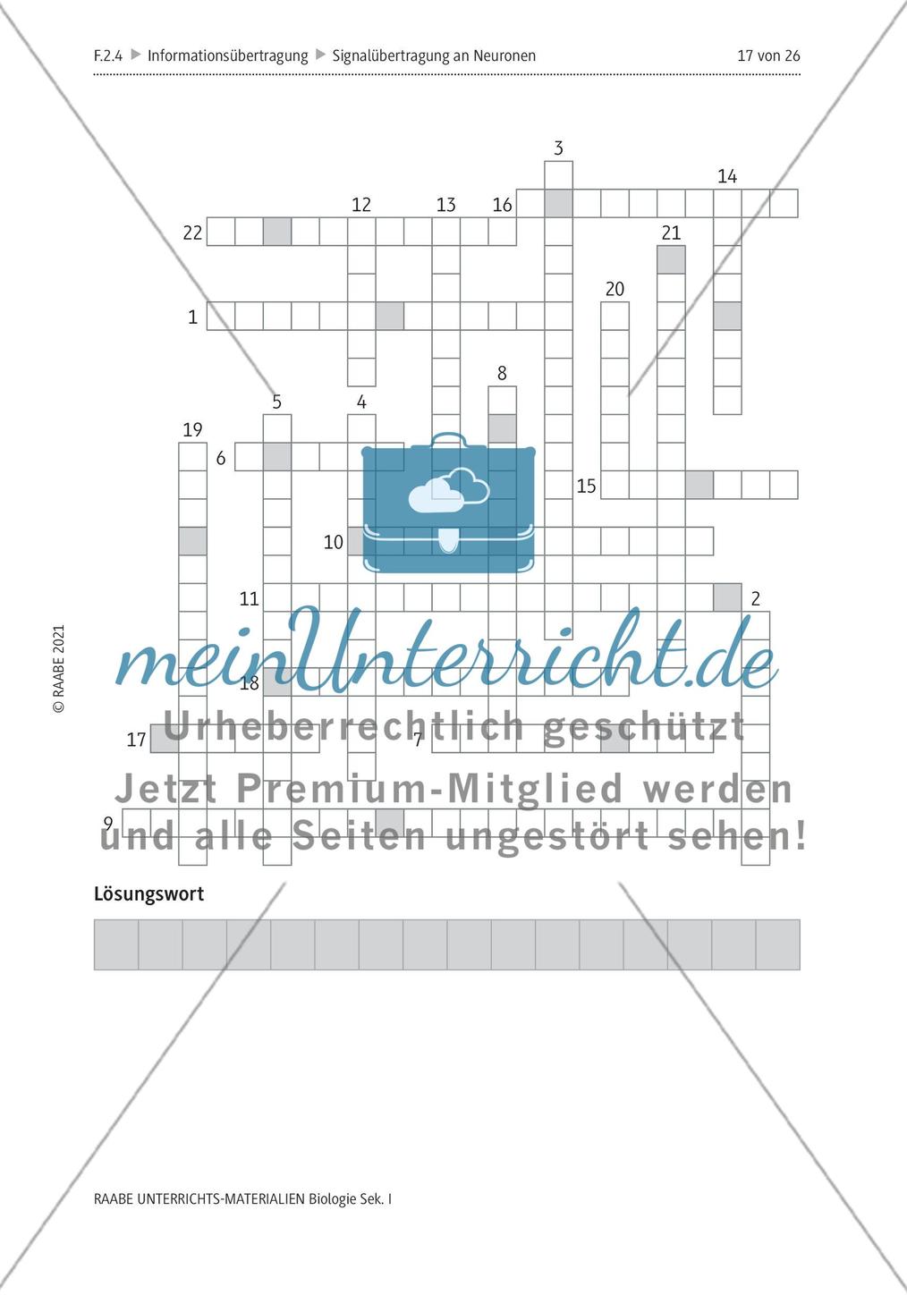 Signalübertragung an Neuronen - M4-M8 Preview 9