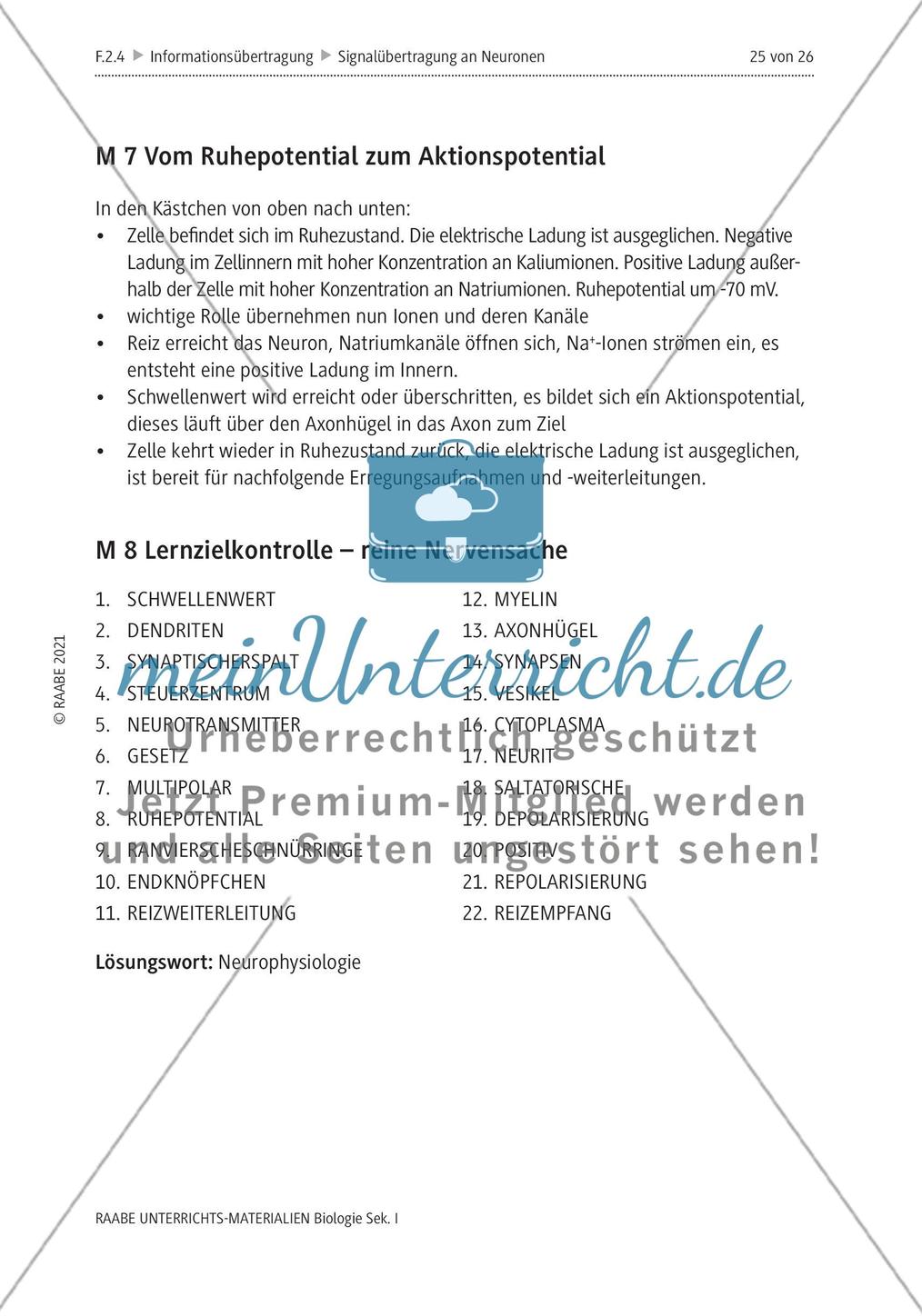 Lösungen Preview 8