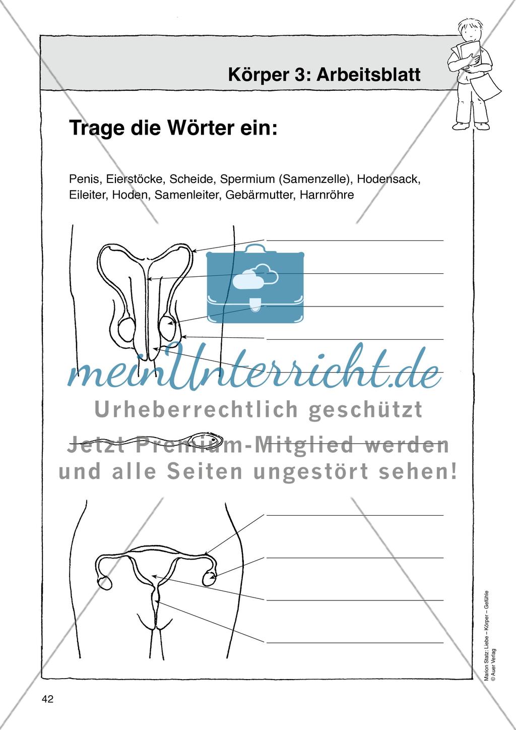 Werkstattmaterialien Körper - Teil 1 Preview 10