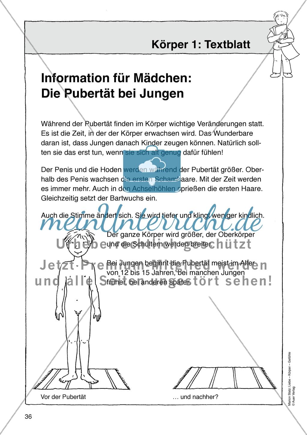 Werkstattmaterialien Körper - Teil 1 Preview 4