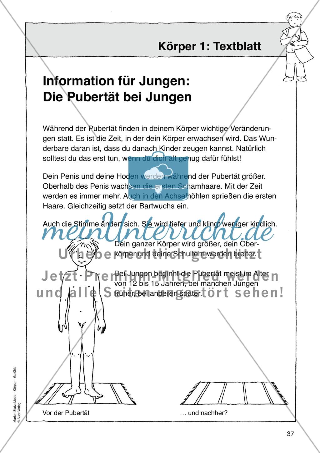 Werkstattmaterialien Körper - Teil 1 Preview 5