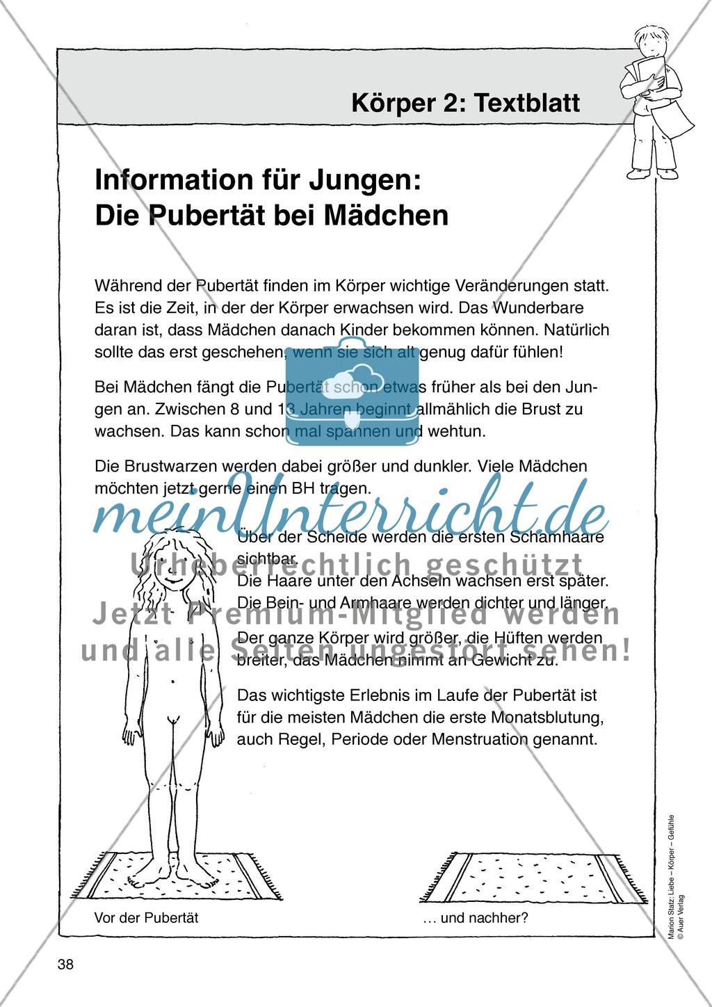 Werkstattmaterialien Körper - Teil 1 Preview 6