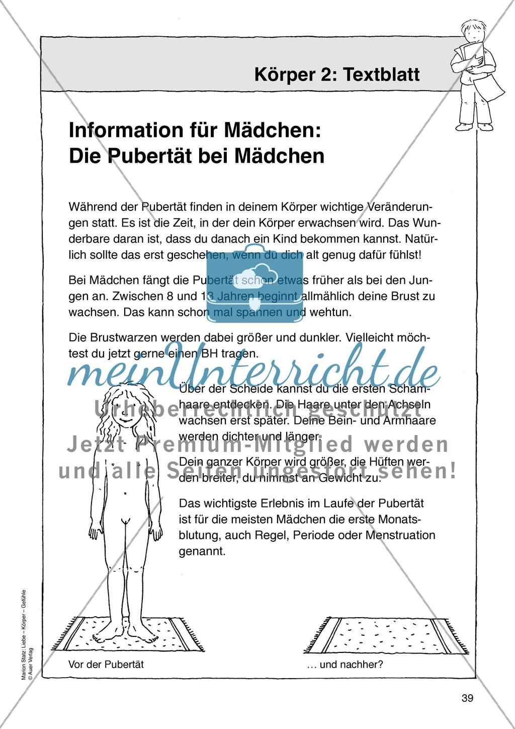 Werkstattmaterialien Körper - Teil 1 Preview 7