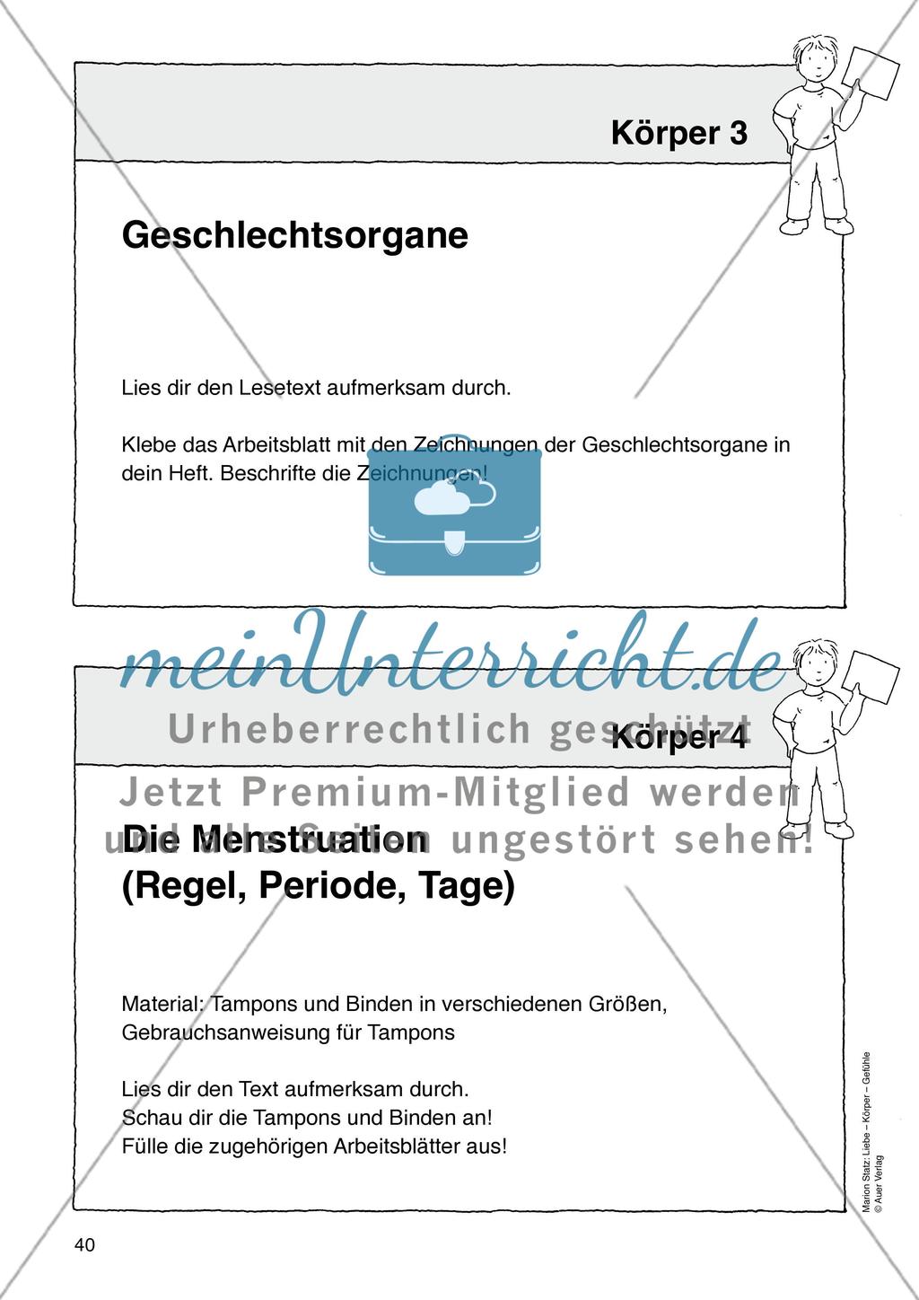 Werkstattmaterialien Körper - Teil 1 Preview 8